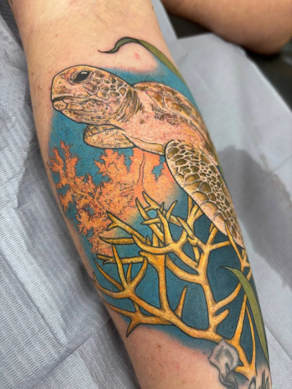 Colorful tattoo of a sea turtle swimming near orange coral on a person's arm. Colour realism tattoo.