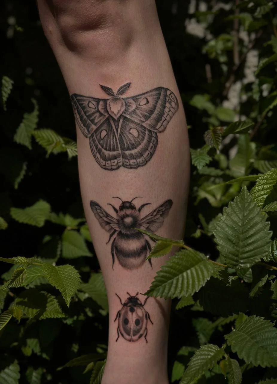 Tattoo of three insects: a large moth at the top, a bee in the middle, and a ladybug at the bottom, on a person's forearm, surrounded by green leaves. Blackwork tattoo with stipple style shading.