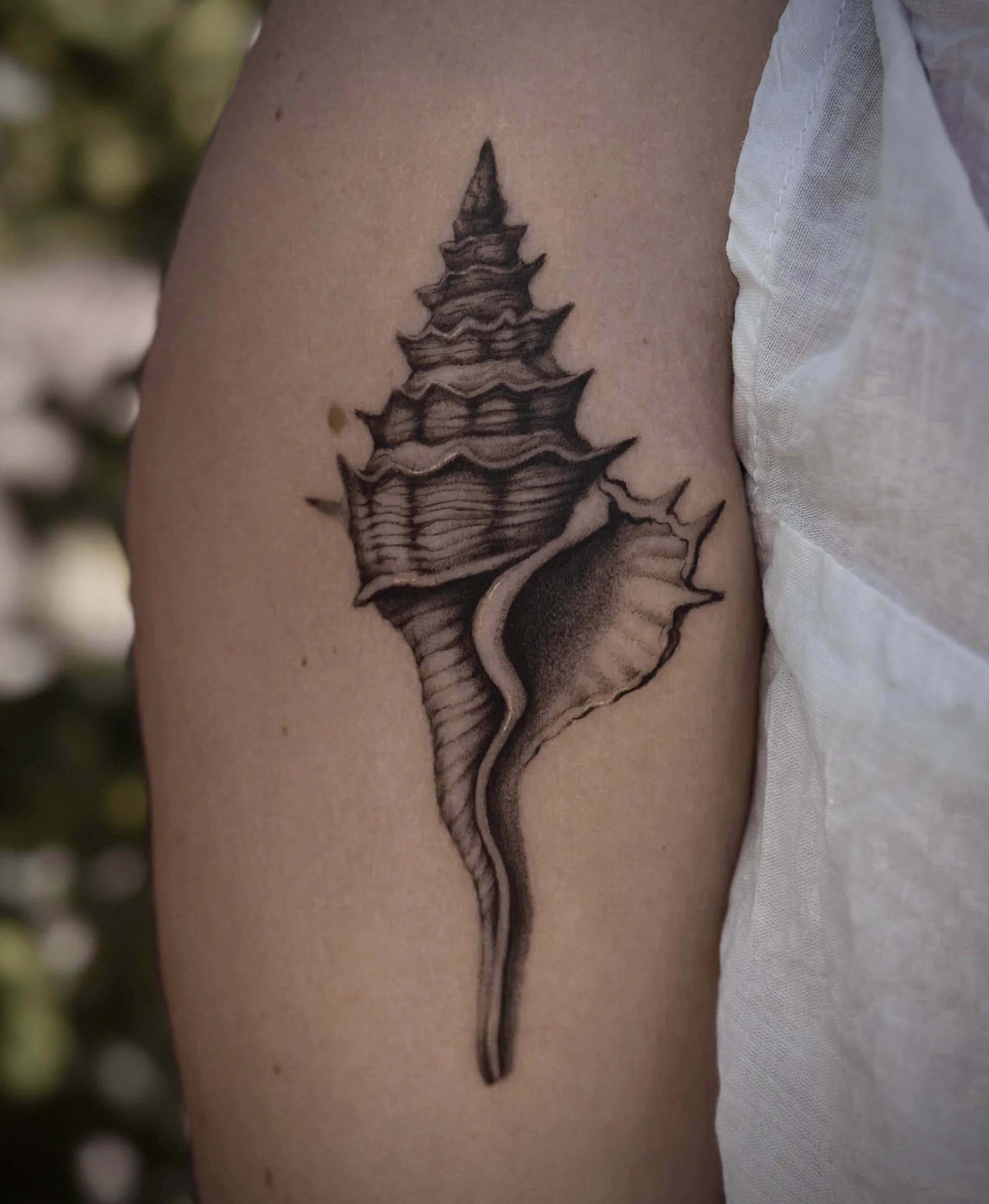 A black and grey tattoo of a spiral shell on a person's upper arm. Stipple style shading.