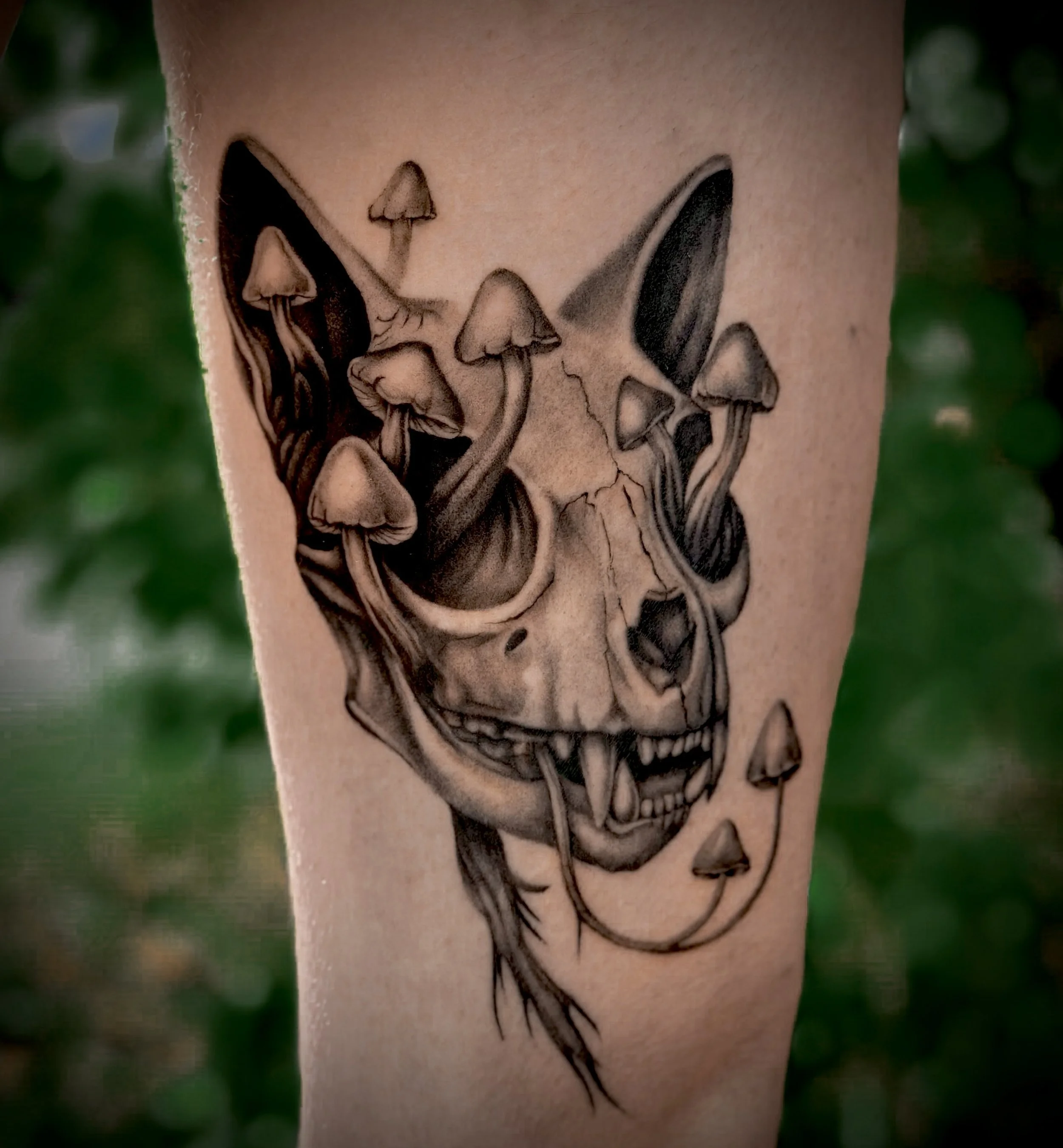 Illustrative Blackwork Tattoo Flash Custom