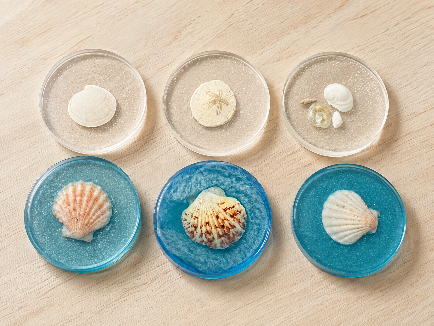 Six small dishes of shells, some empty and some with seashells, arranged on a wooden surface.
