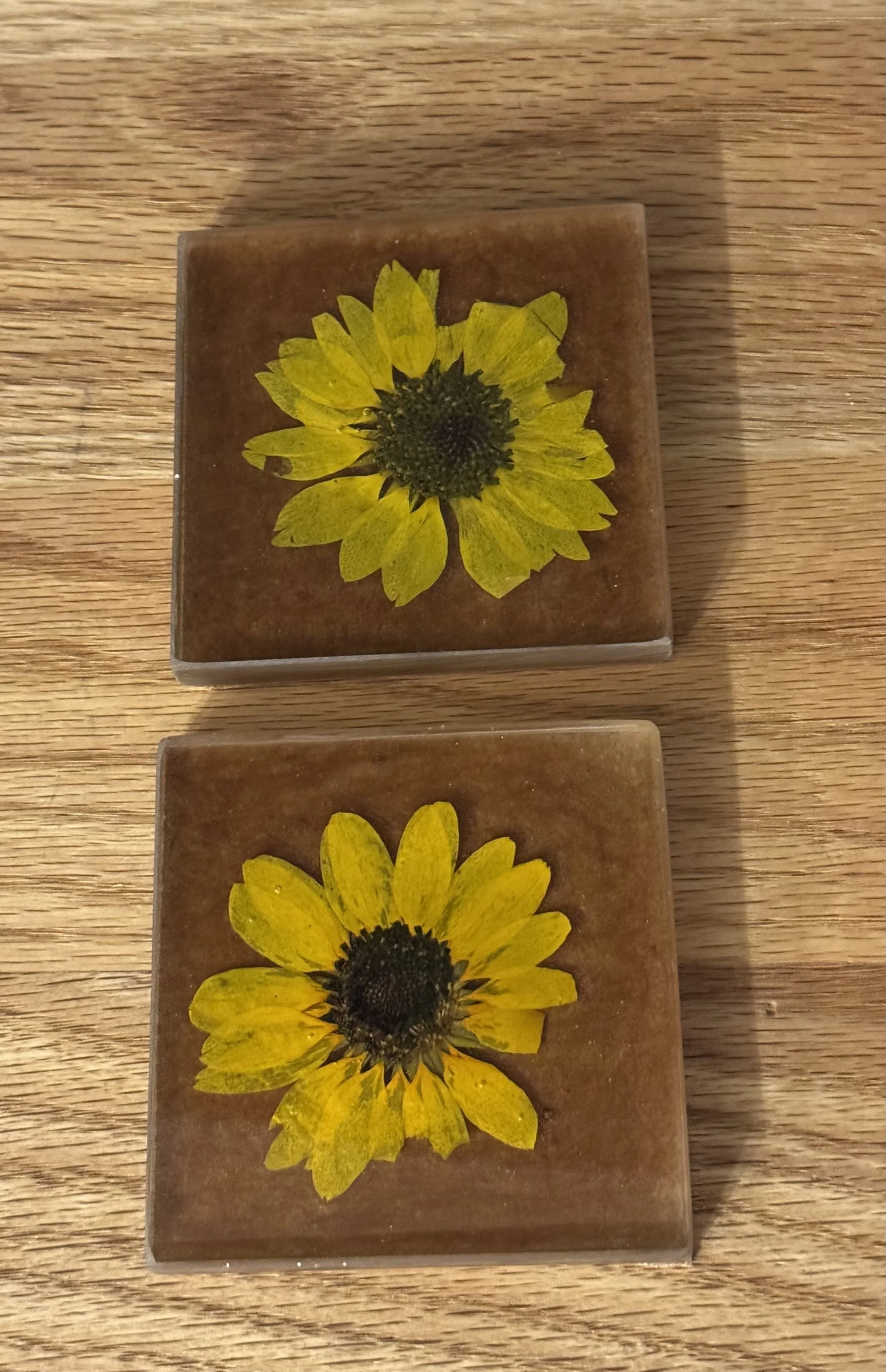 Two square tiles, each with a pressed yellow flower on a brown background, placed on a wooden surface.