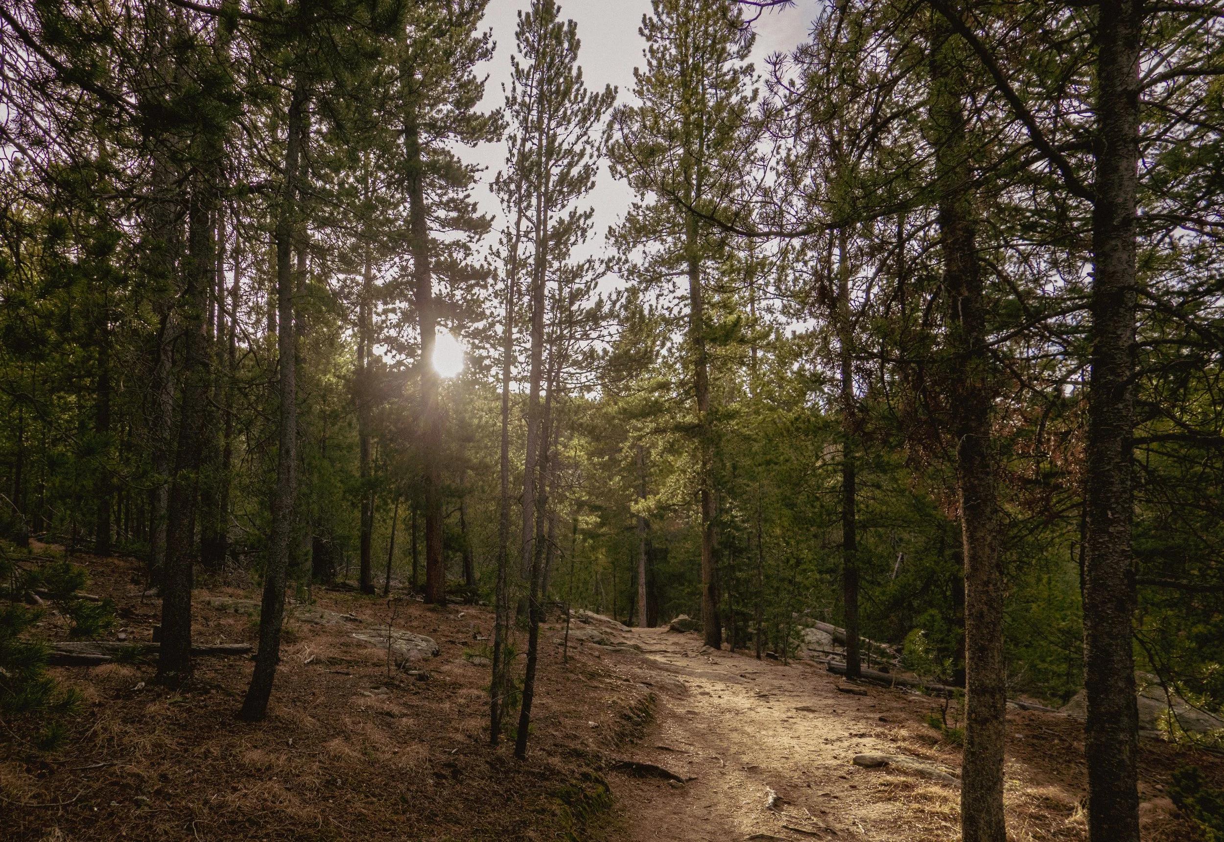 016 - Through.jpg