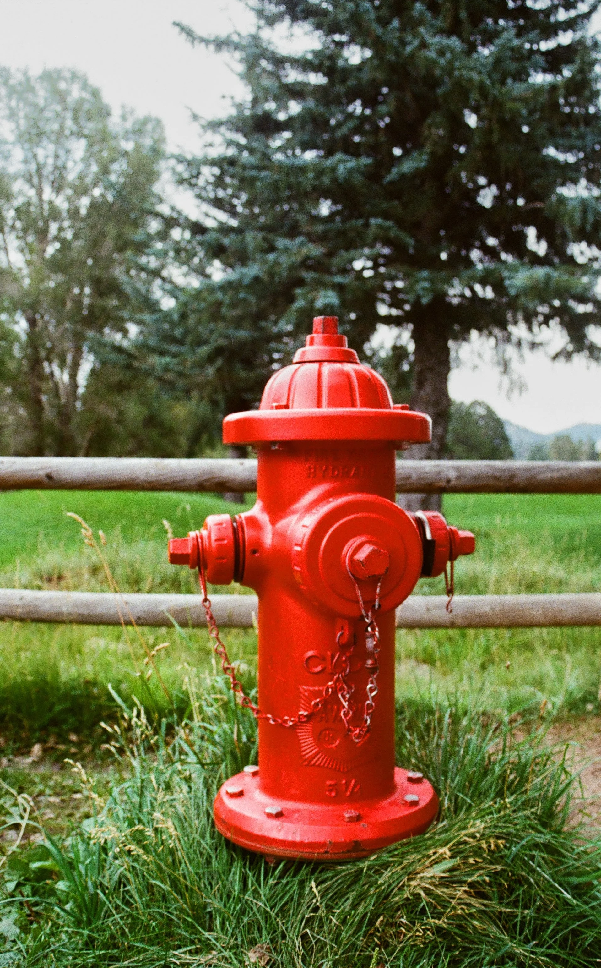 035 - Big Red.jpg