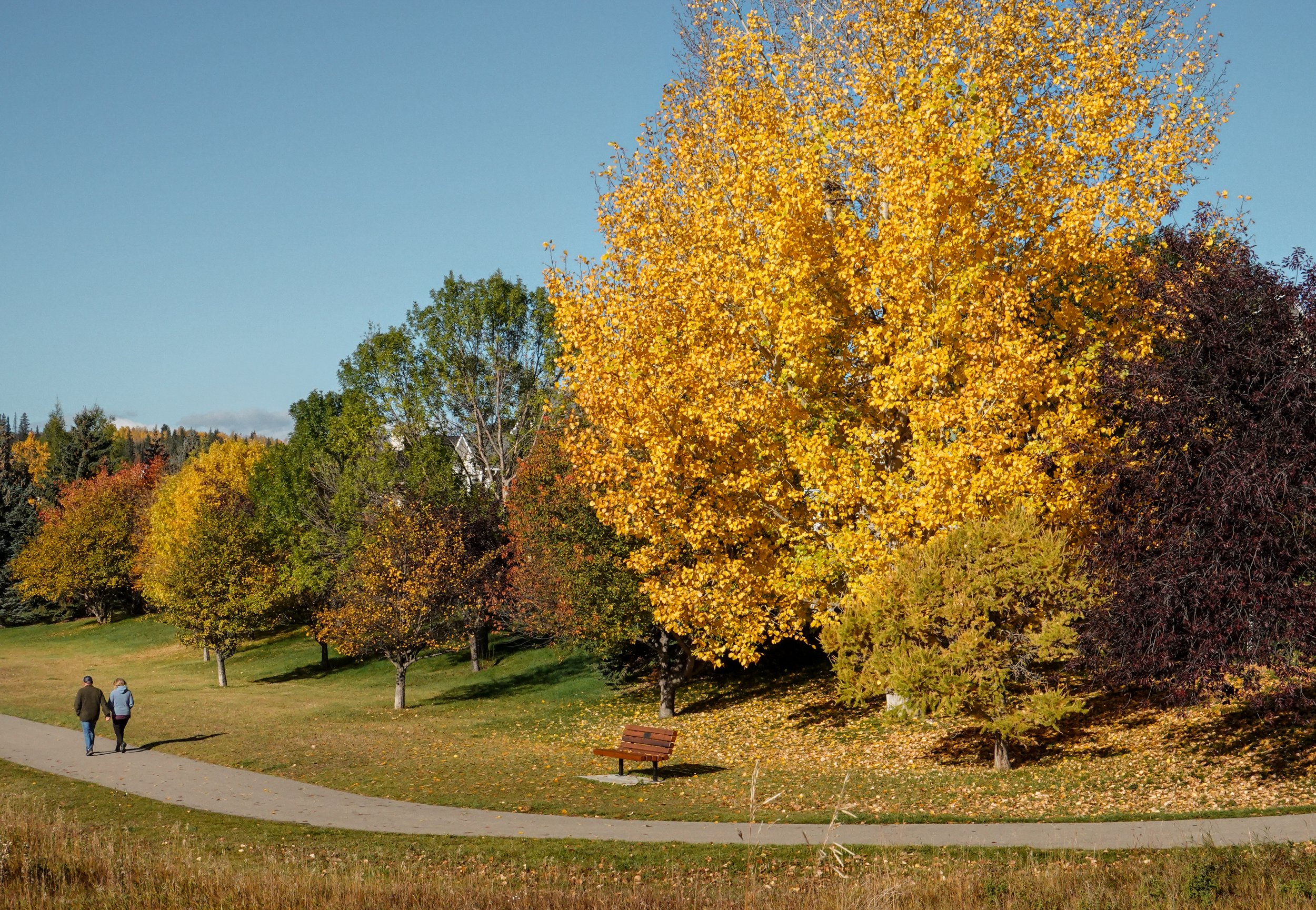 057 - Walk in the Park.jpg