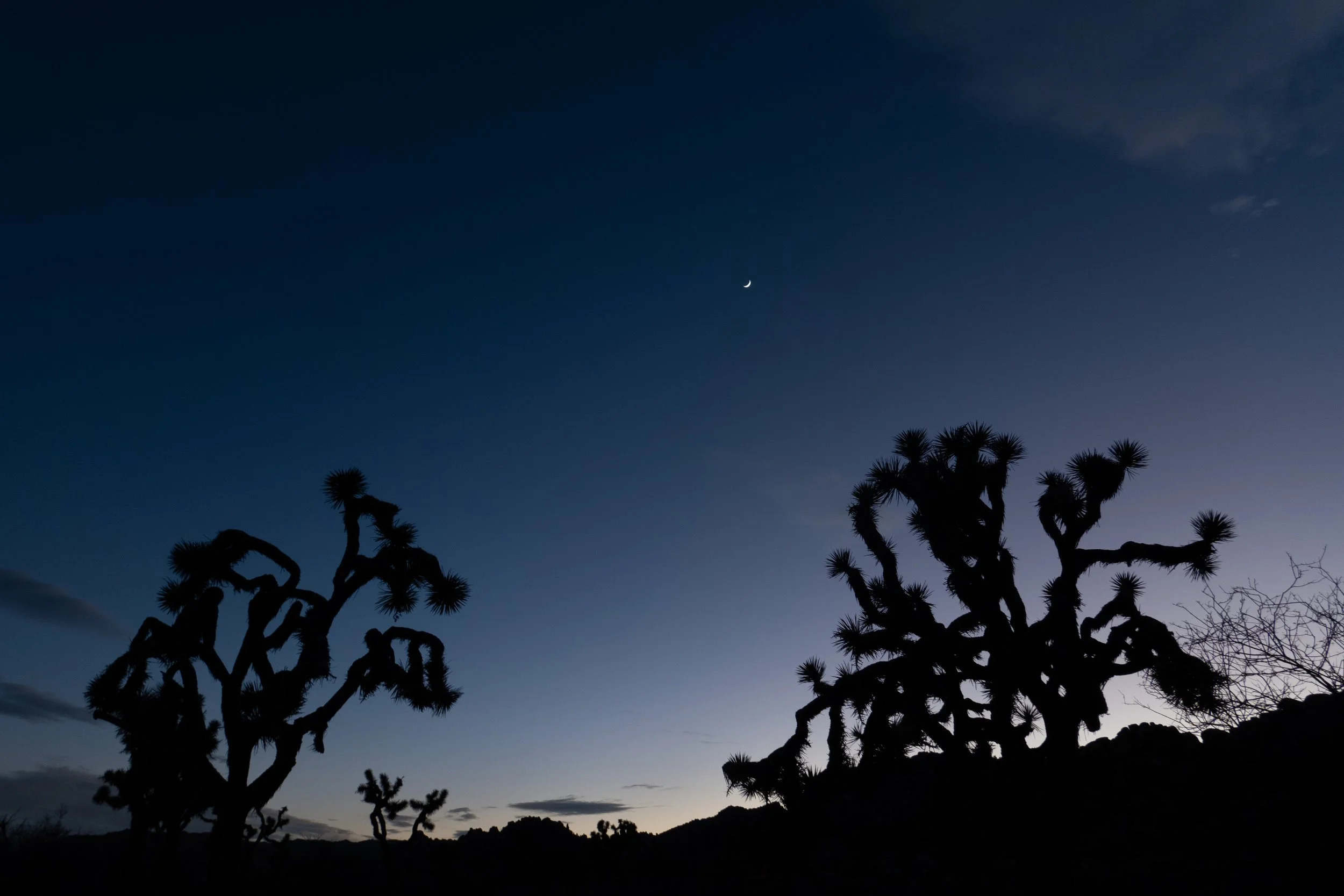 019- Goodnight, Moon.jpg