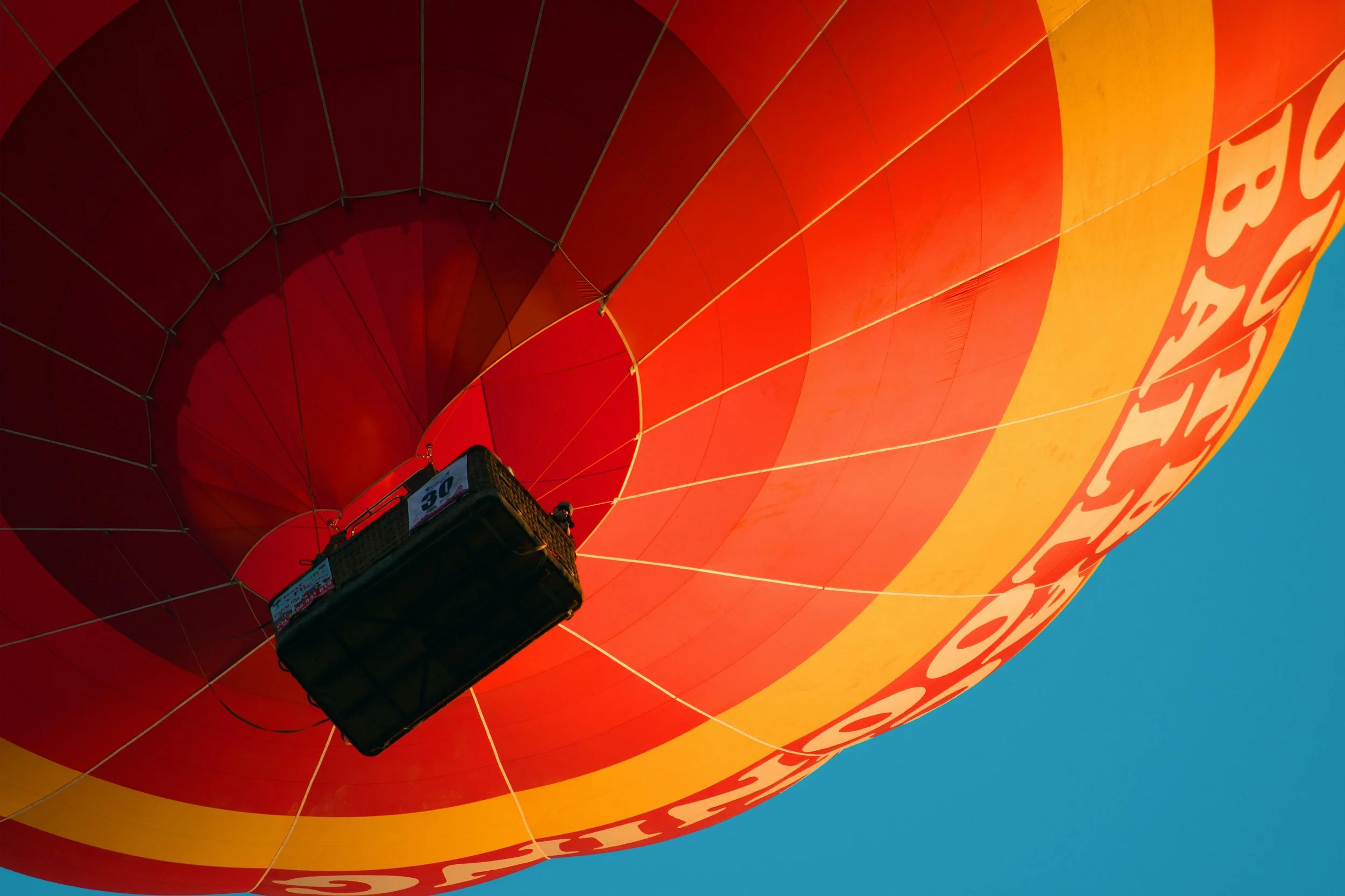 The Roundup – November 2025