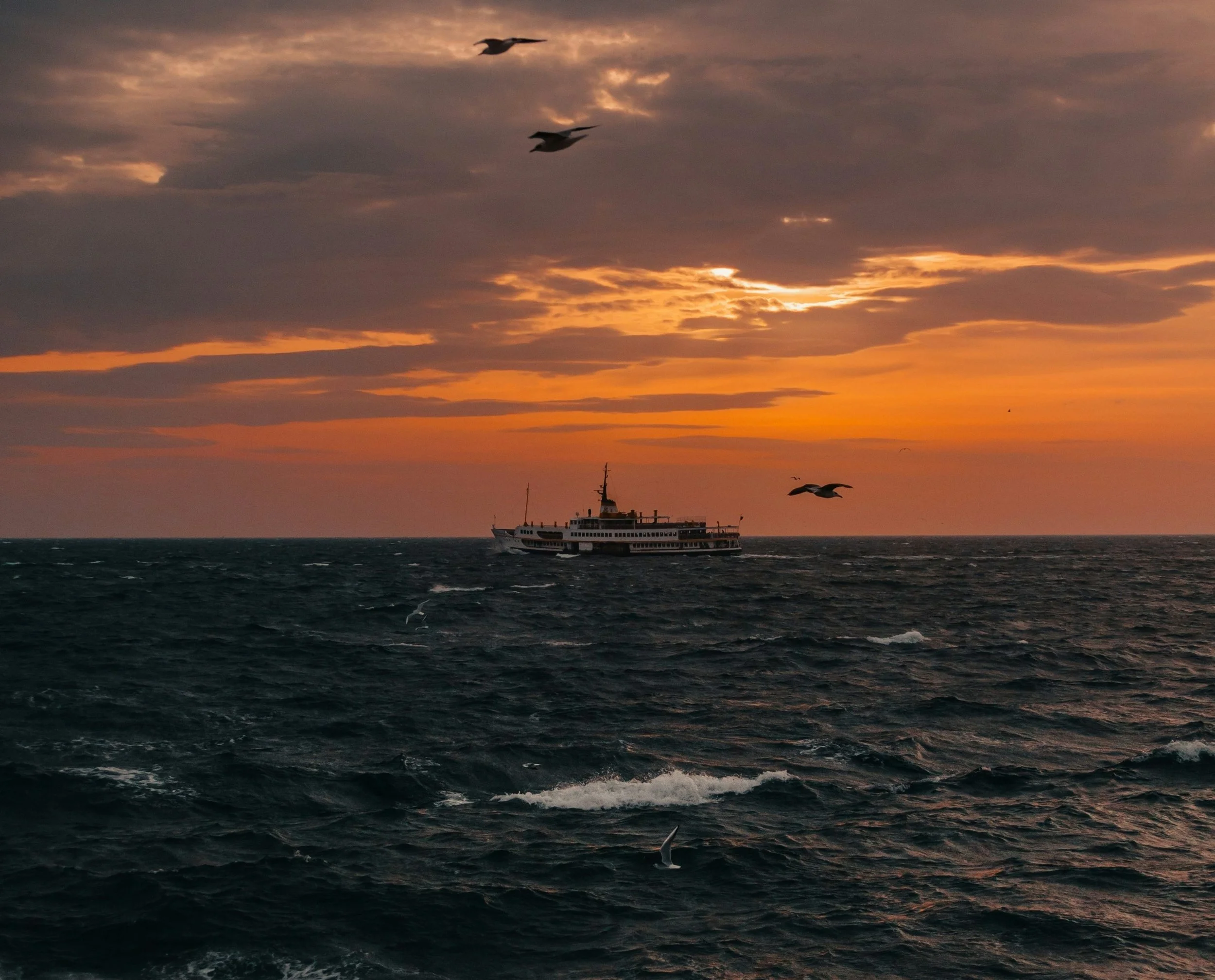 The Roundup – July 2025