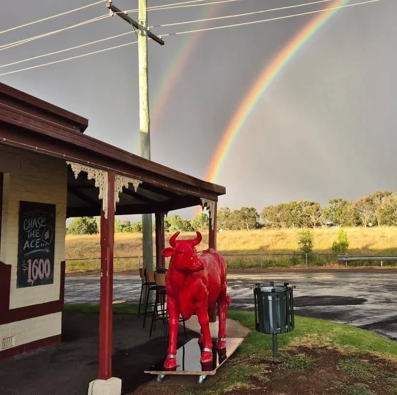 Red cow statue on skateboard outside a building with a rainbow in the sky above.
