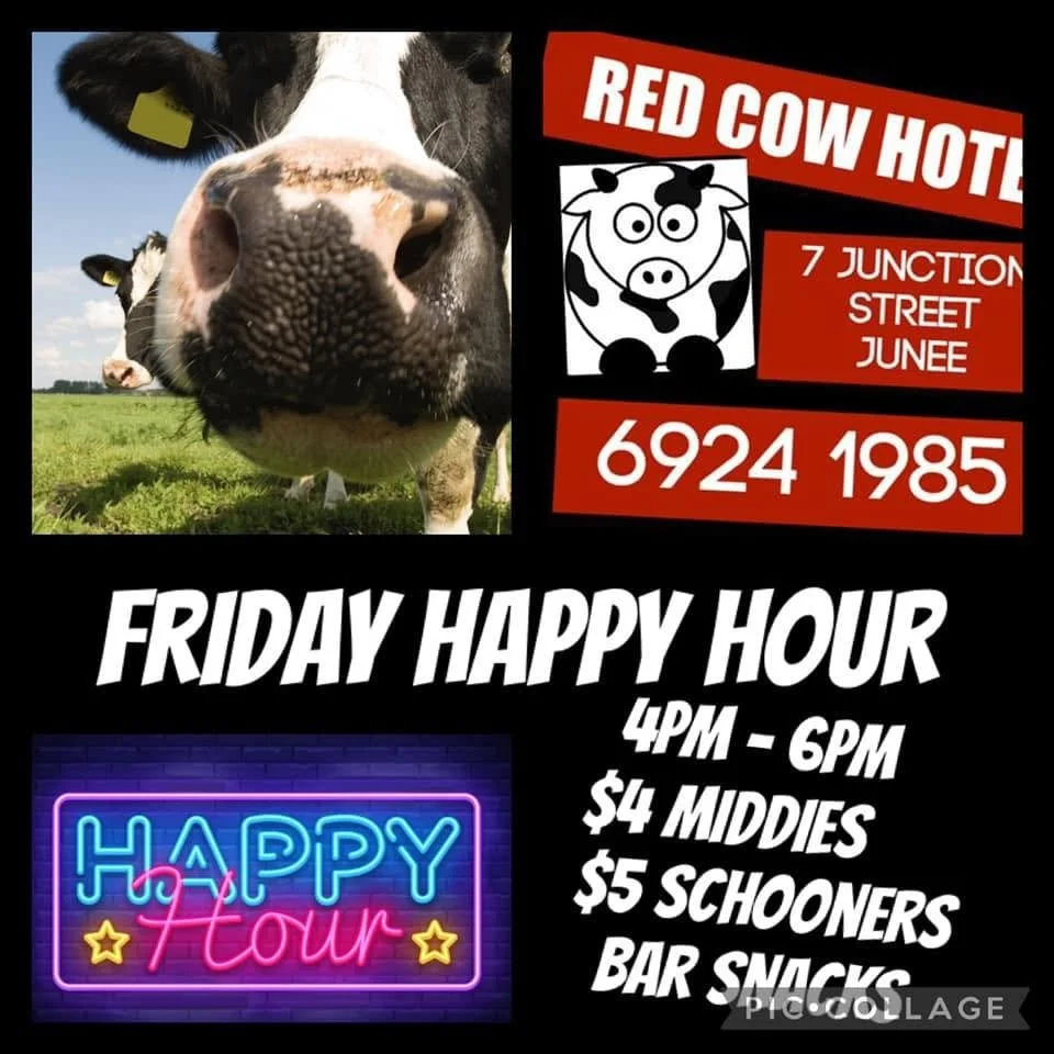 A promotional flyer for a bar called Red Cow Hotel. The flyer features a large close-up photo of a cow's nose and face, with cows in a field in the background. The flyer includes information about the bar's location at 7 Junction Street, June, and a 