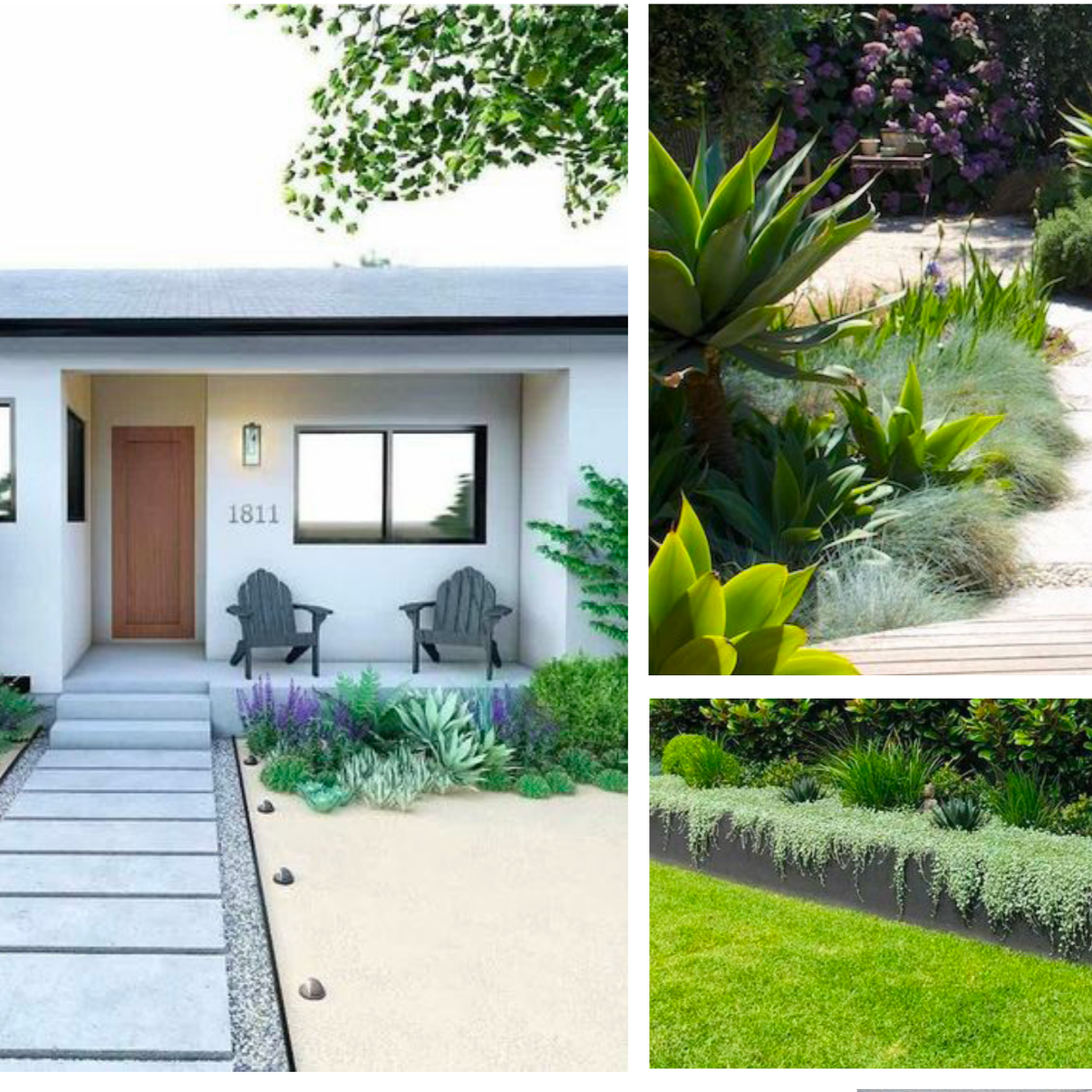 A collage of three images depicting a modern garden with lush green plants, succulents, and flowering bushes beside a house with a patio.
