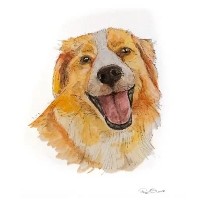 RLO Pet Watercolor Portrait Crosby