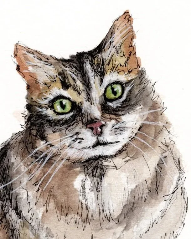 Watercolor illustration of a tabby cat with green eyes, detailed facial features, and fur in shades of brown, gray, and white.