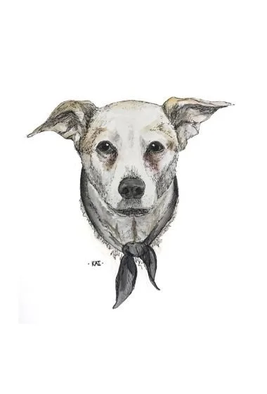 Illustration of a dog with a bandana around its neck, facing forward.