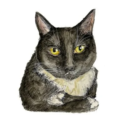 Watercolor painting of a black and white cat with yellow eyes, sitting and looking forward.