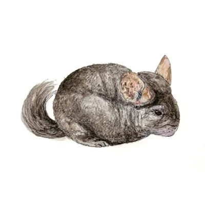RLO Pet Watercolor Portrait Bryant