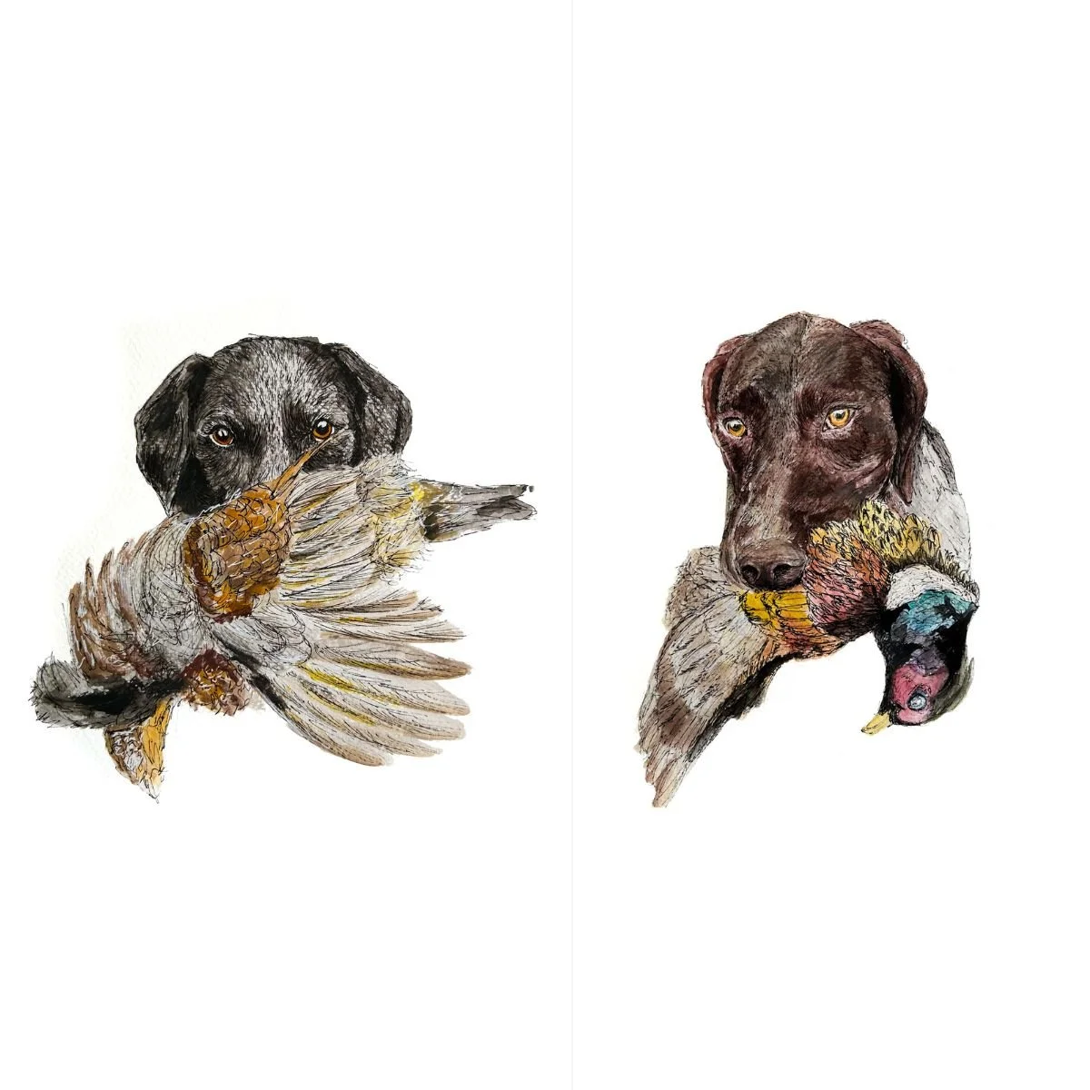 RLO Pet Watercolor Portrait