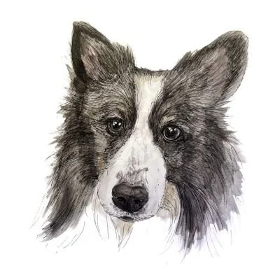 RLO House Watercolor Portrait for Pet Lovers