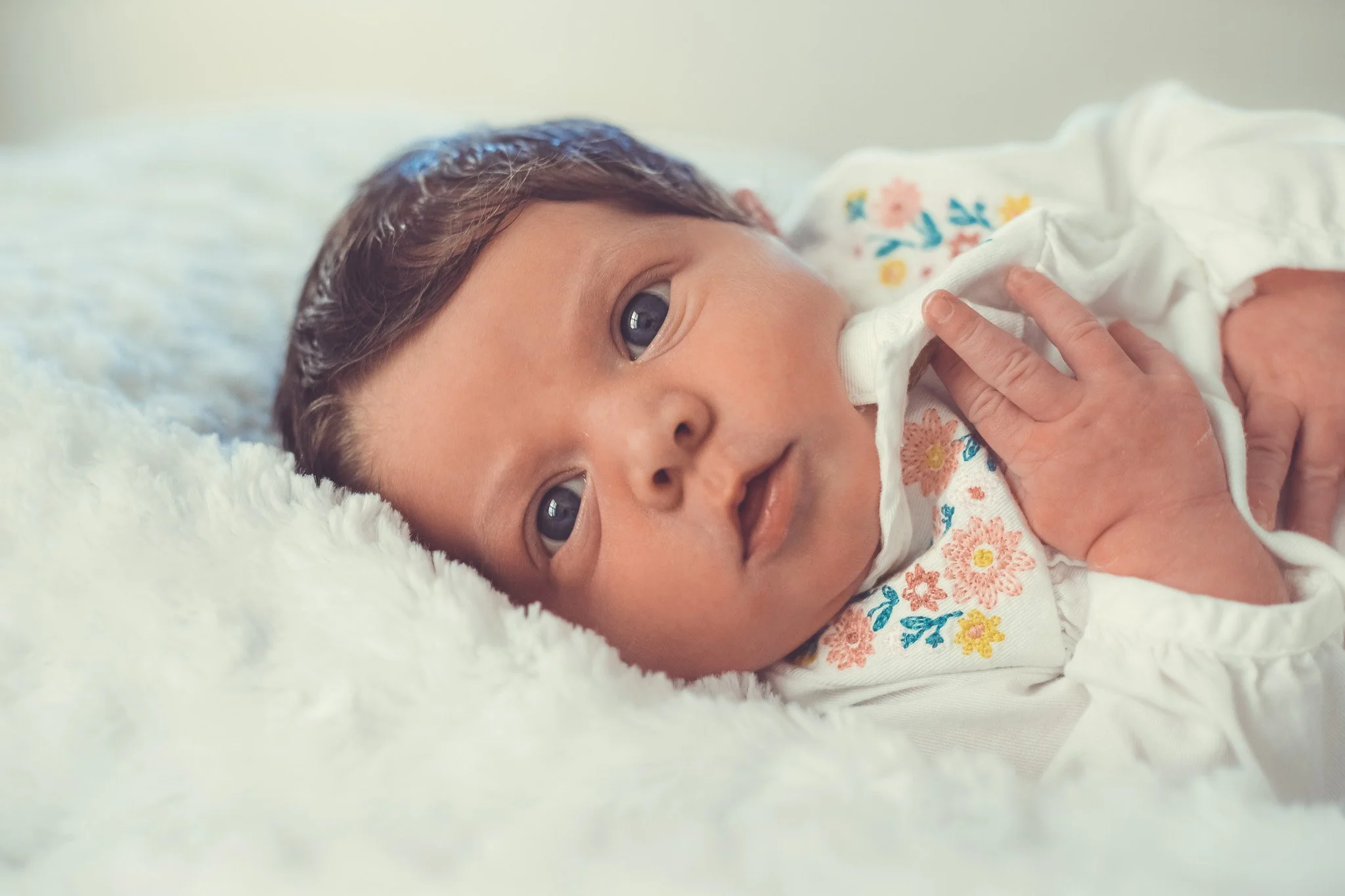 RLO Portrait Photography Porfolio Newborn Infant