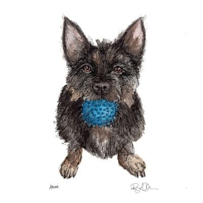 Hand-drawn illustration of a dog holding a blue ball in its mouth.