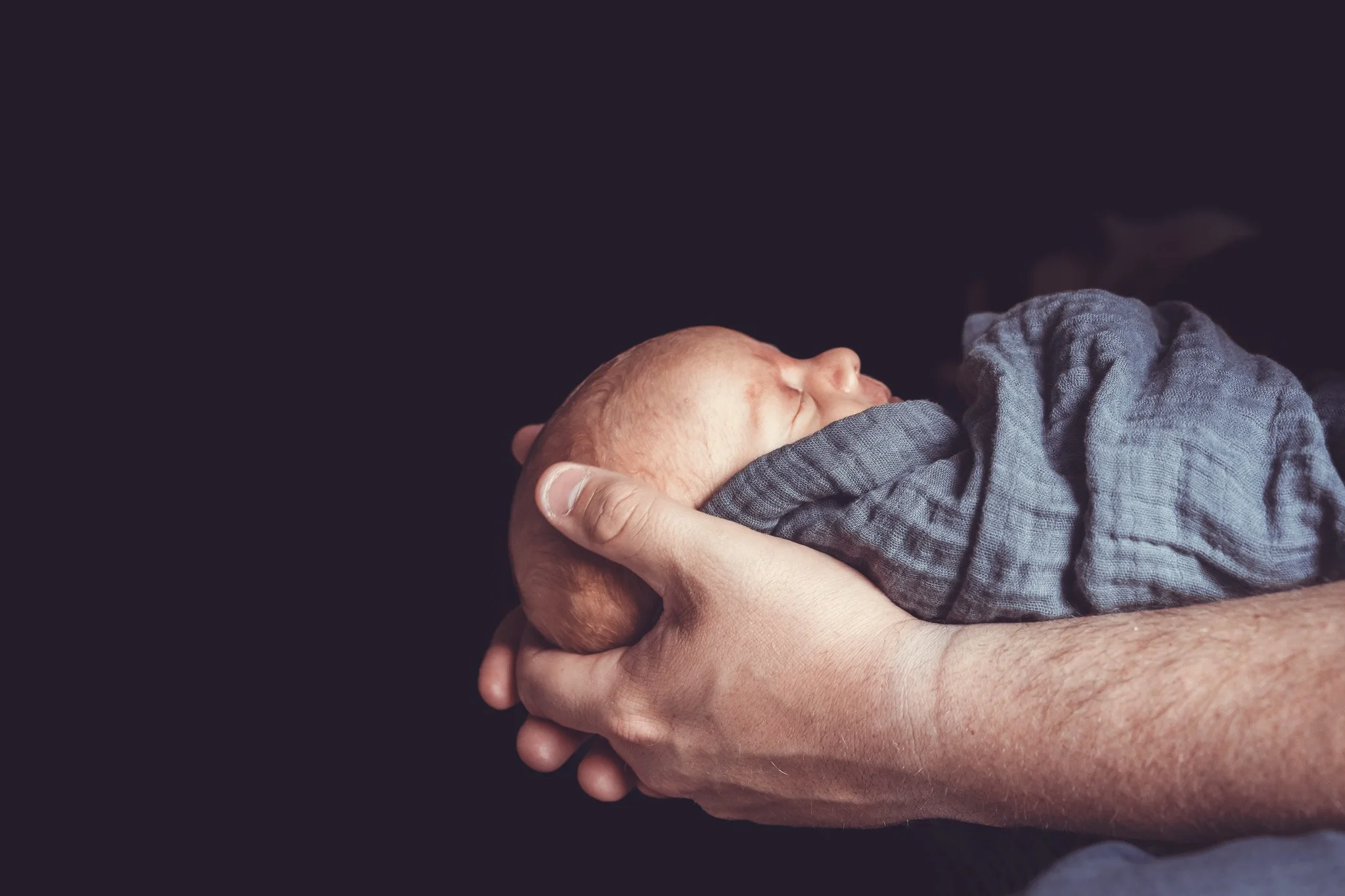 RLO Portrait Photography Porfolio Newborn Infant
