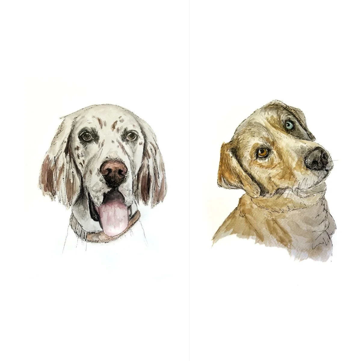 RLO Pet Portrait Gift Watercolor