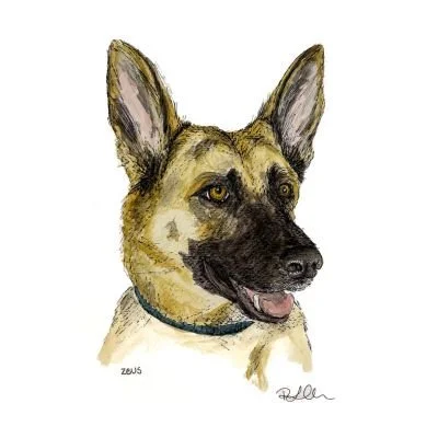 RLO Pet Watercolor Portrait Zeus