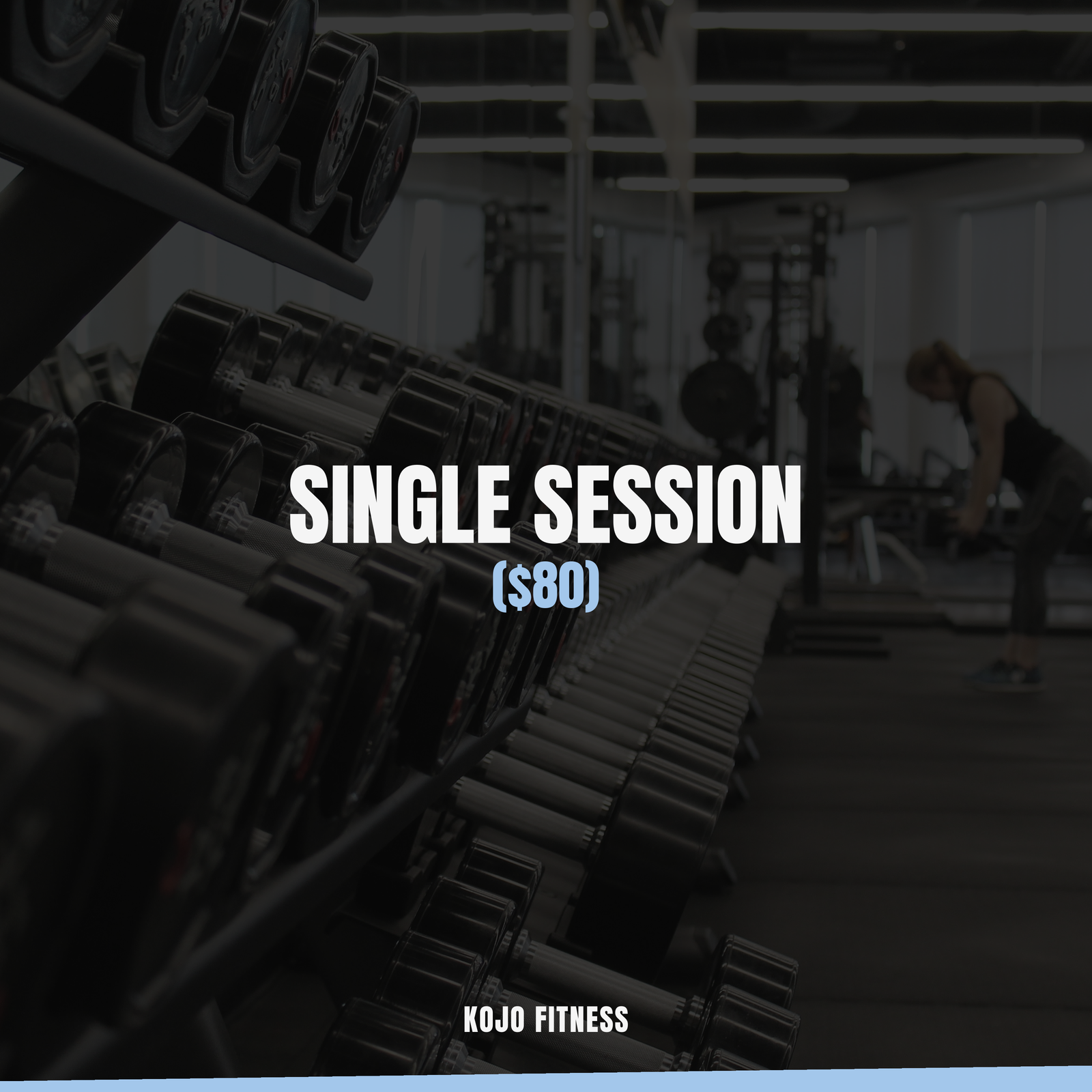 Single Session ($80)