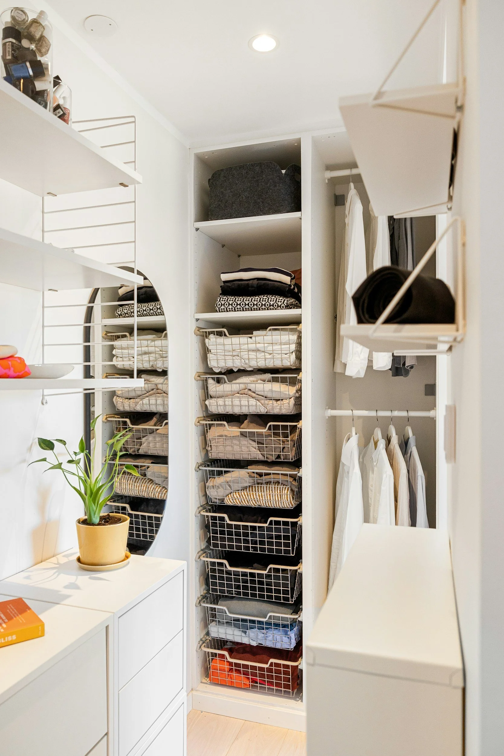 A neatly organized walk-in closet with shelves filled with folded clothes in baskets, hanging shirts, and a small potted plant on a white cabinet.