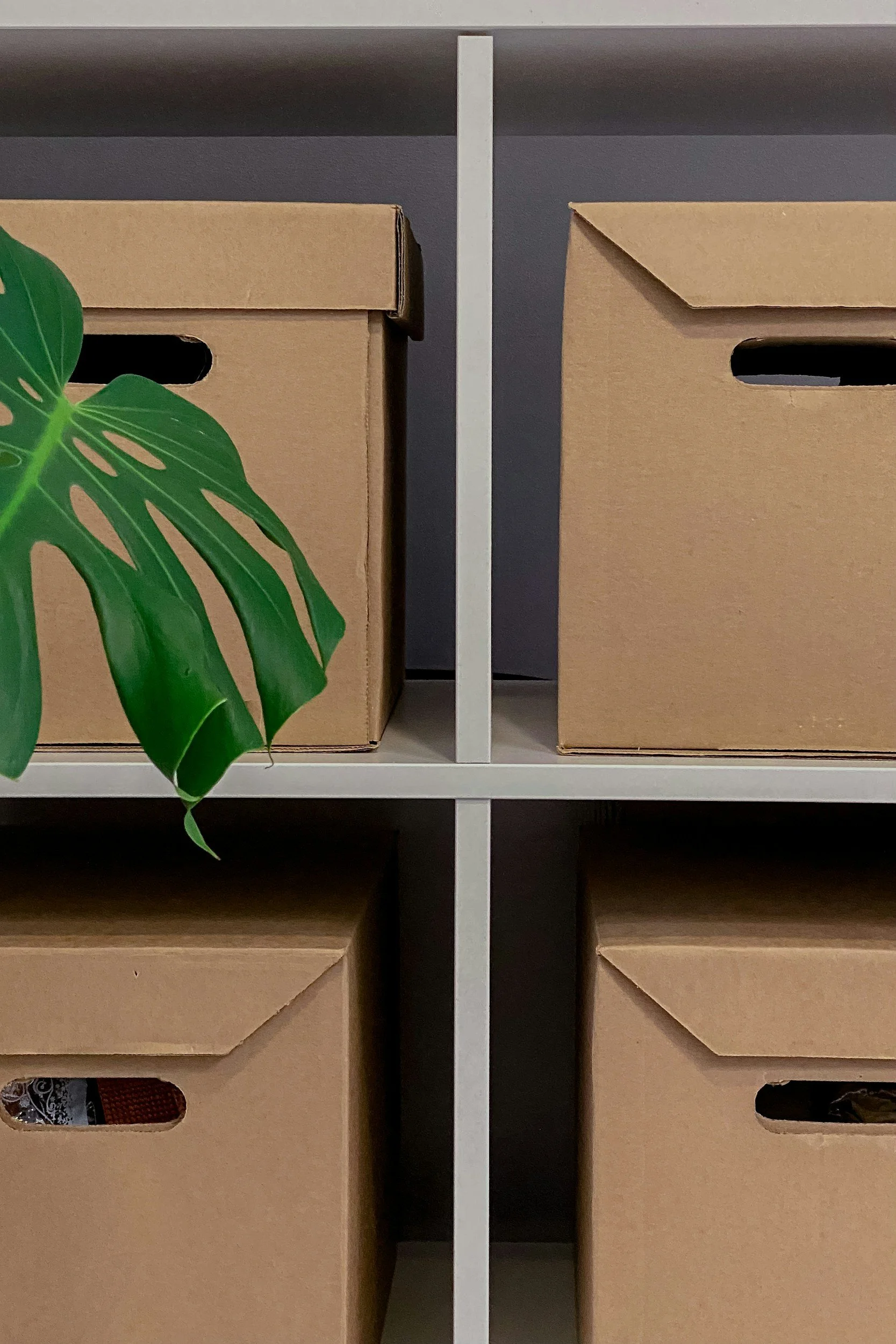 Wooden storage boxes on a gray and white shelf with a green plant in the foreground.