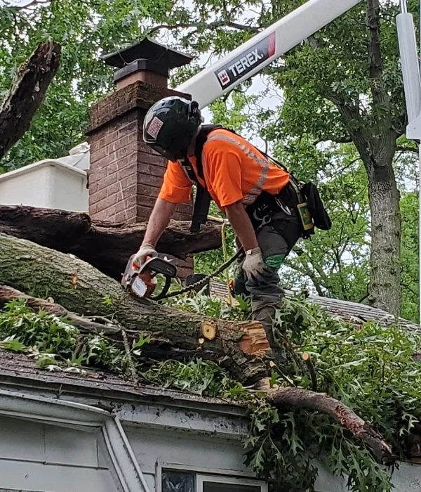Storm Cleanup