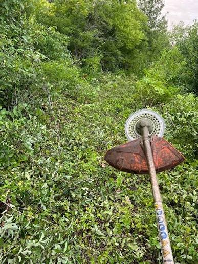 A weed trimmer lies on the ground in a grassy, wooded area.