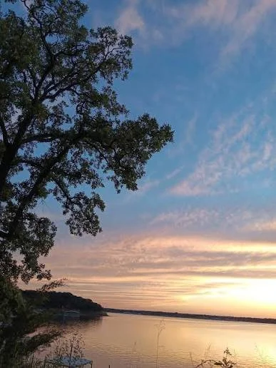 Sunset over a calm body of water with a large tree on the left and a partly cloudy sky