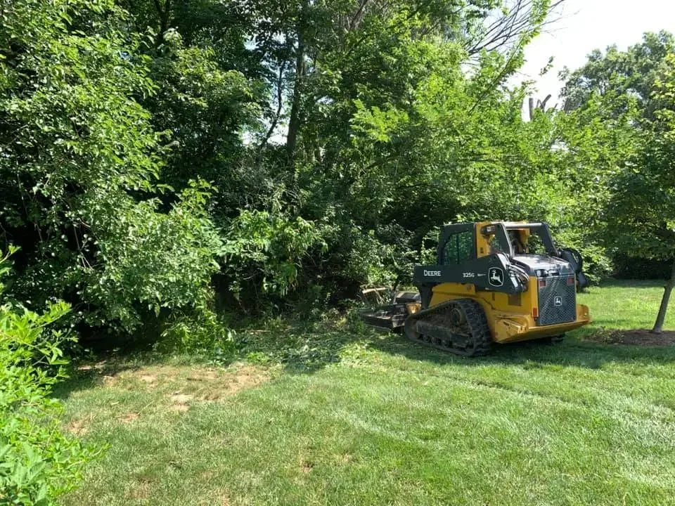 A John Deere mini skid-steer loader working on trimming trees and bushes in a backyard with green grass and leafy trees.
