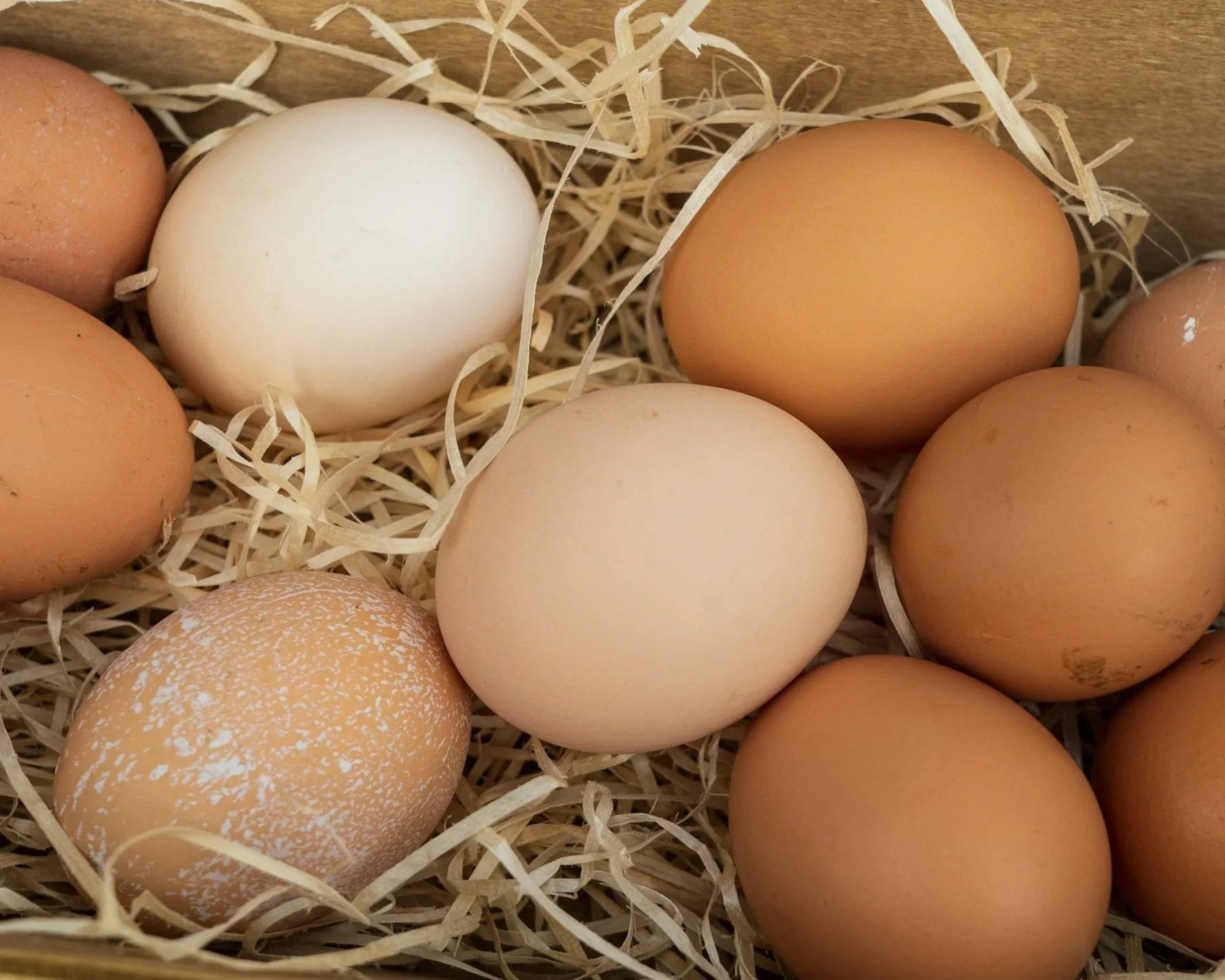 organic cage-free eggs