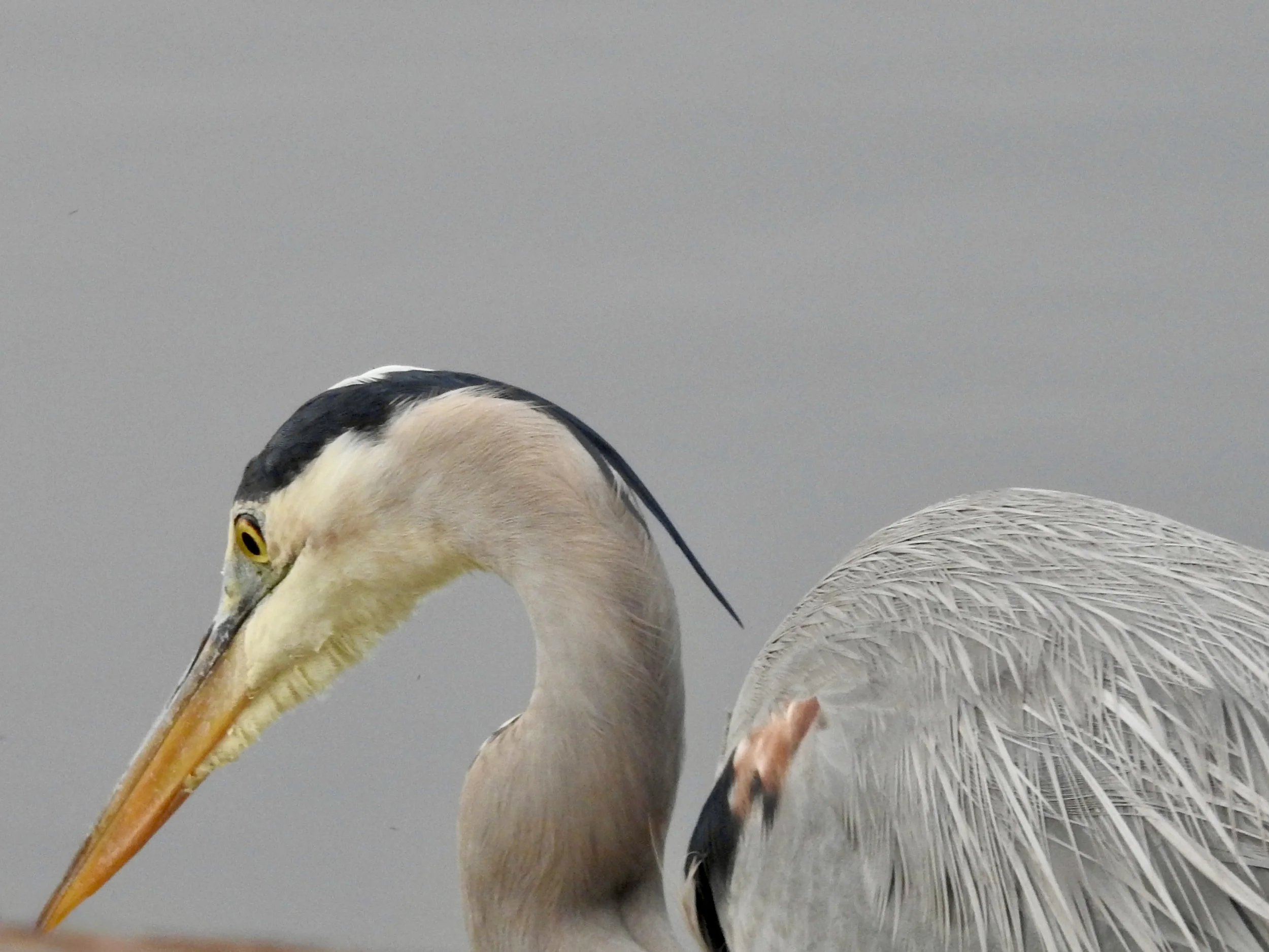 DSCN3351.JPG