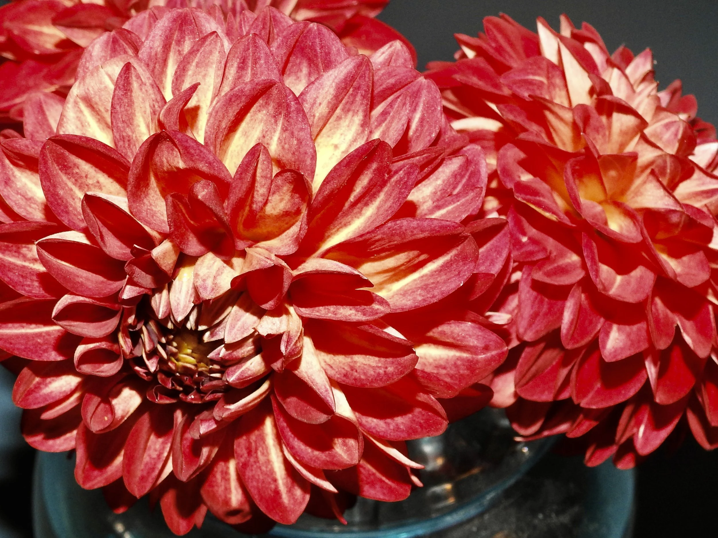 DSCN4175.JPG