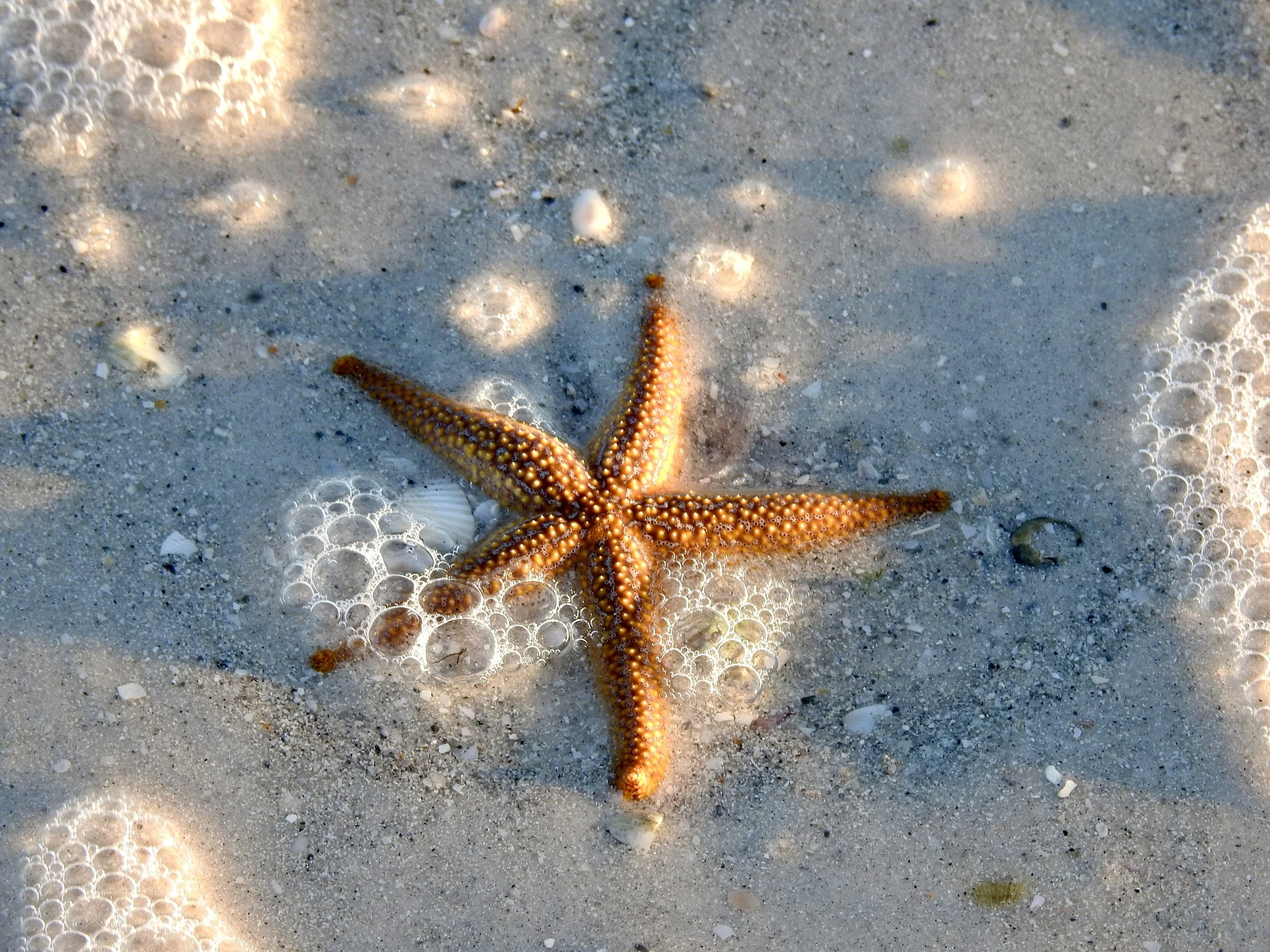 DSCN1050.jpg
