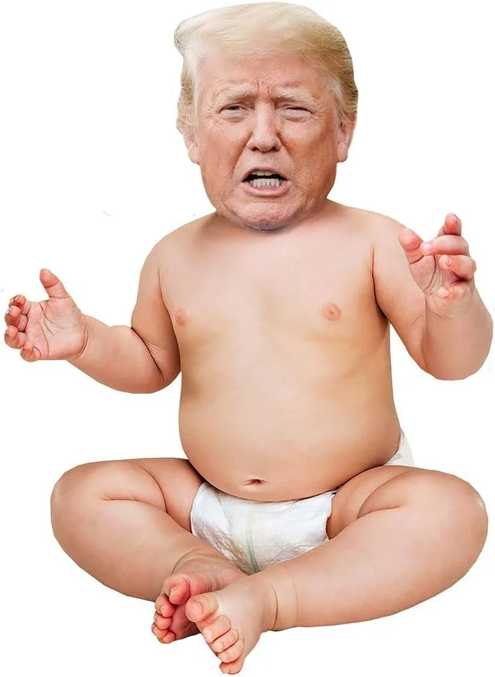 A picture of Donald Trump's head expertly Photoshopped on a toddler's diapered body. Donald Trump's facial expression is one of anger and bewilderment.