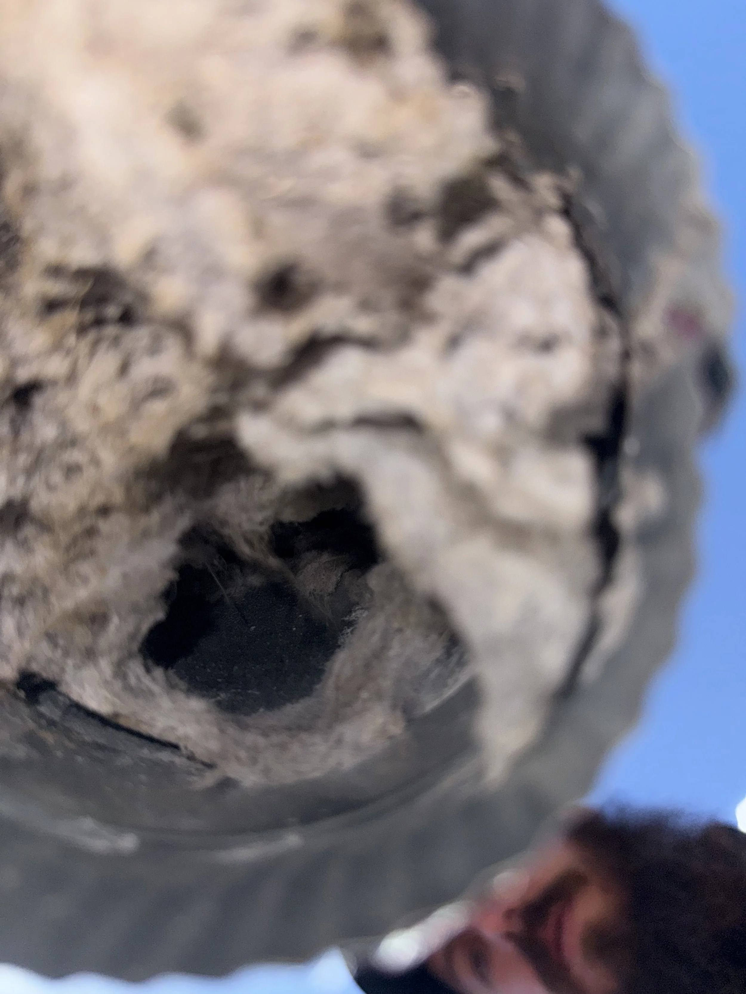 Why Regular Dryer Vent Cleaning is Essential for Every Albuquerque Homeowner