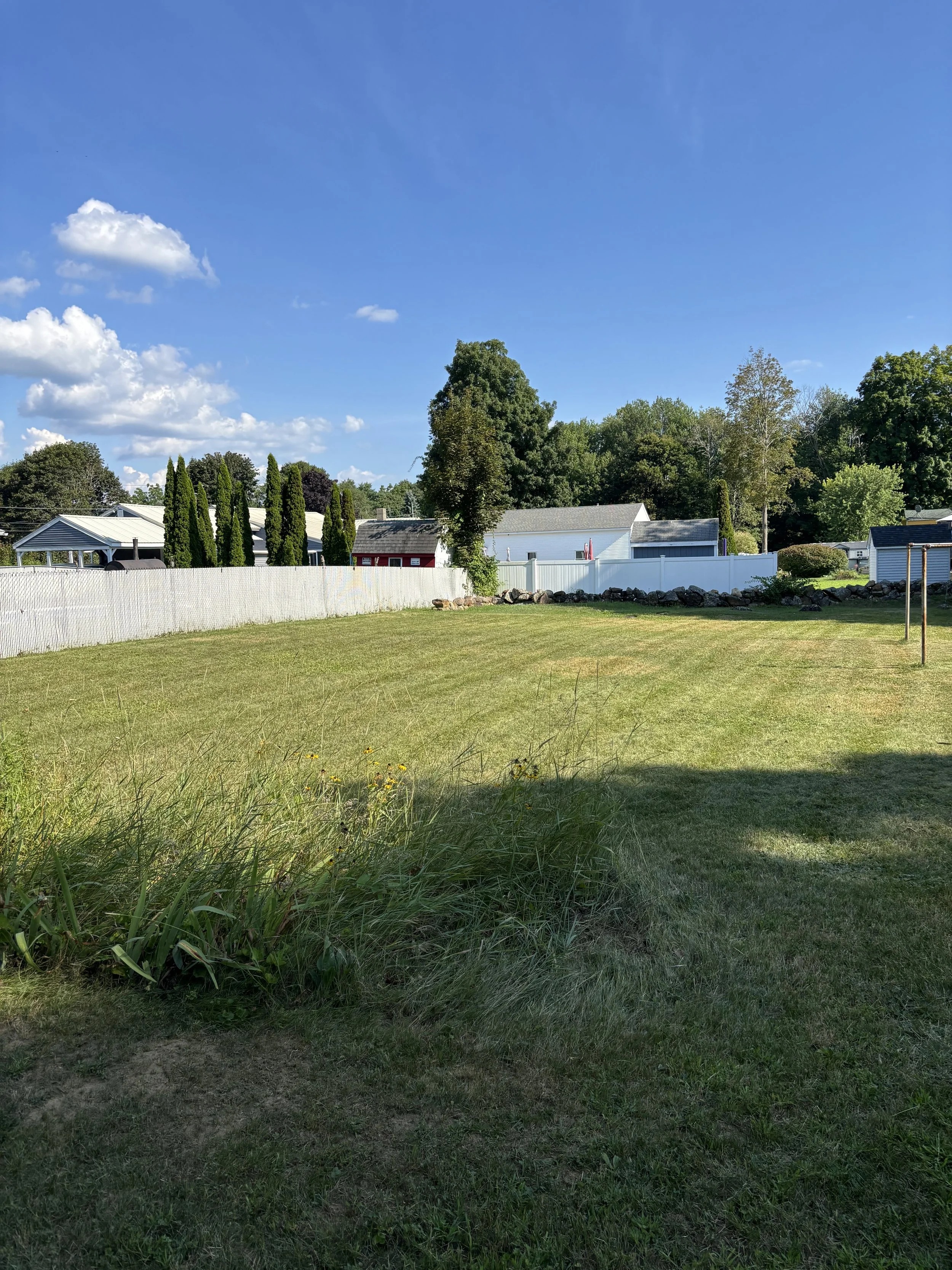 A backyard with a grassy lawn, tall trees, a white fence, and a clear blue sky with some clouds.