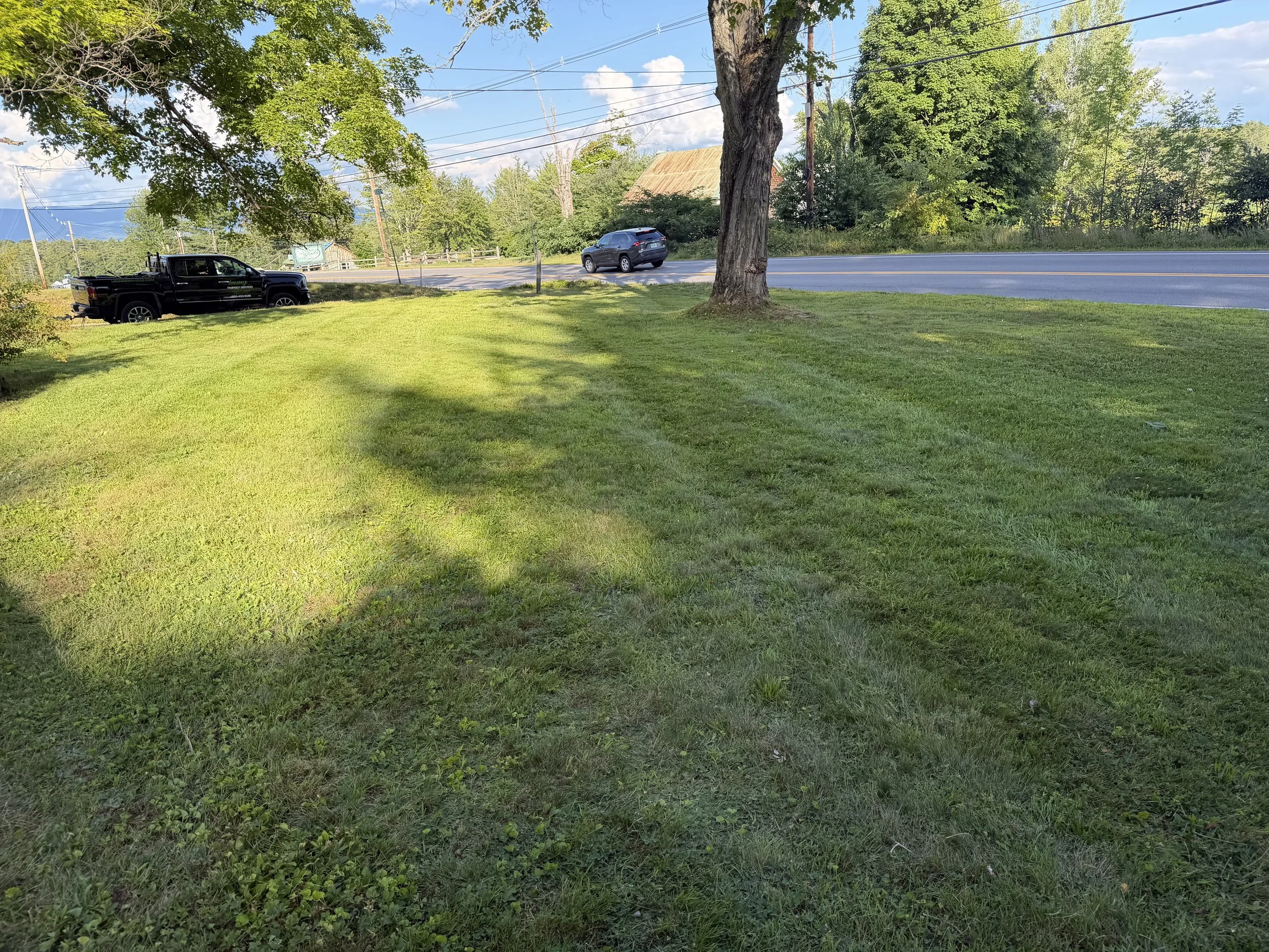 A grassy yard with a tree in the foreground and a road with vehicles passing by. There are trees and a house in the background, with a partly cloudy sky.