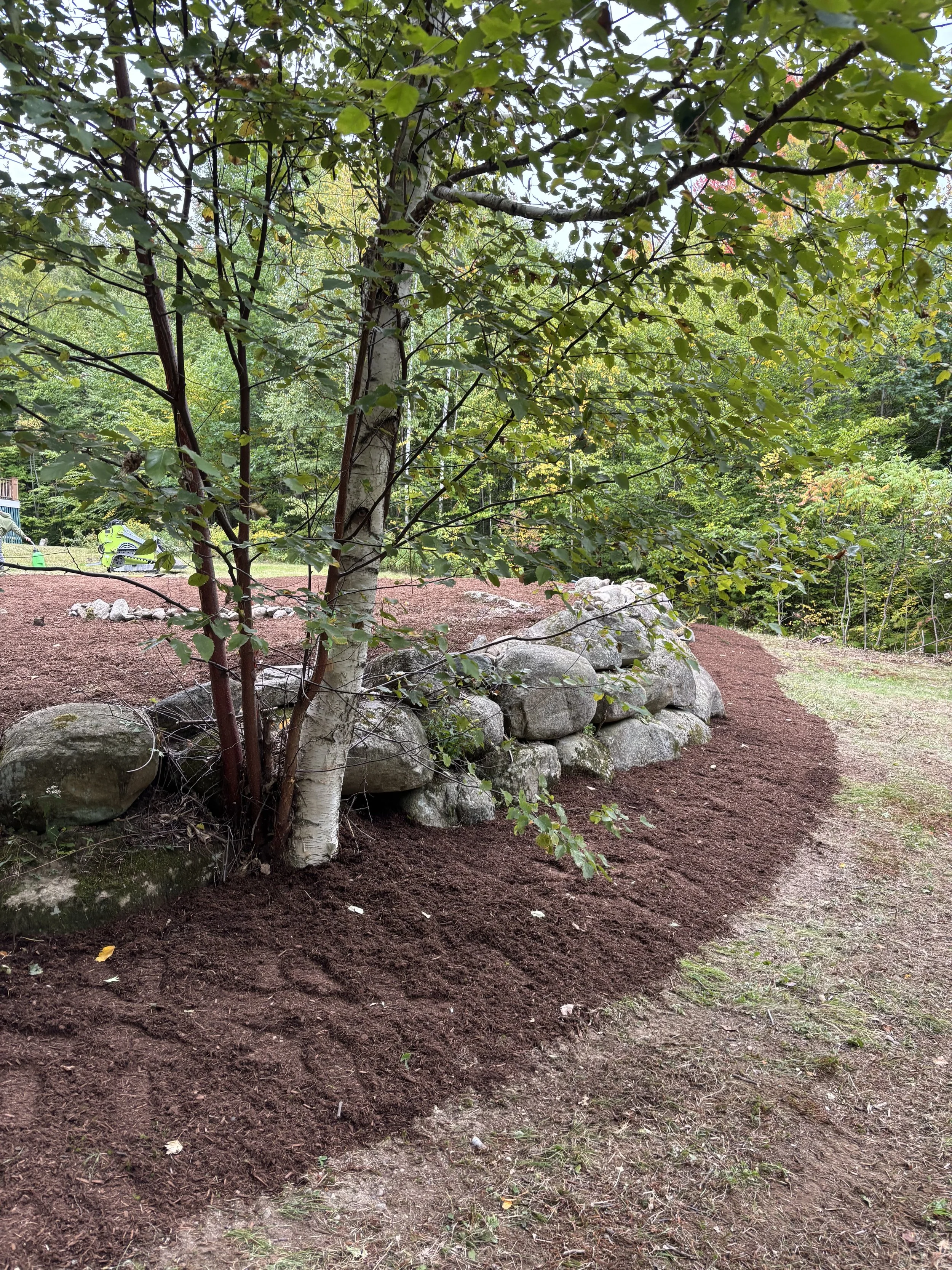 A garden scene with a tree in the foreground, a dirt path curving to the right, and a rock border along the edge of a flower bed. In the background, there are trees and a garden sprinkler.