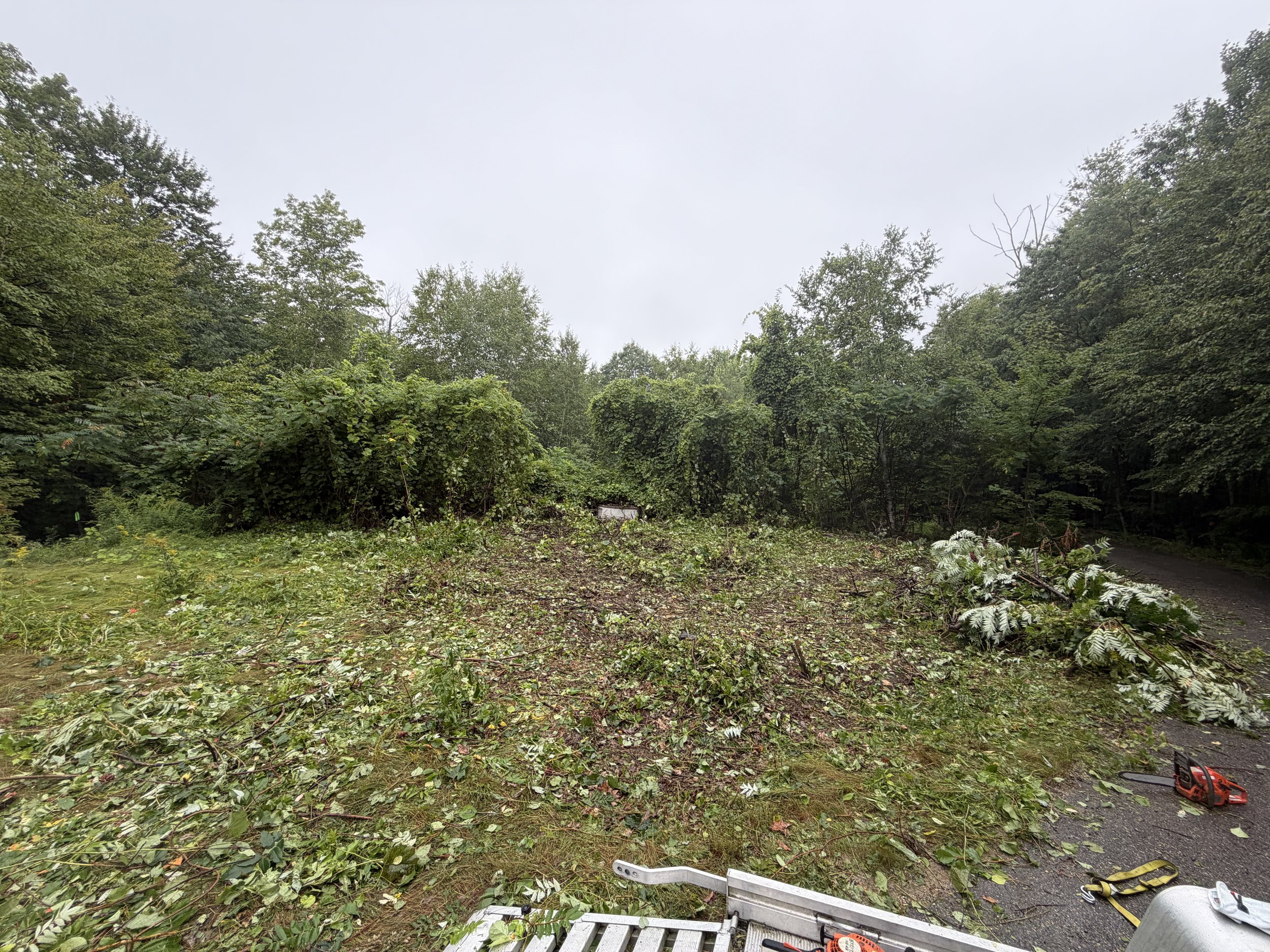 A backyard scene with freshly cut tree branches and leaves scattered on the grass and pavement, with various tools and equipment like a chainsaw, extension cords, and a white plastic crate.