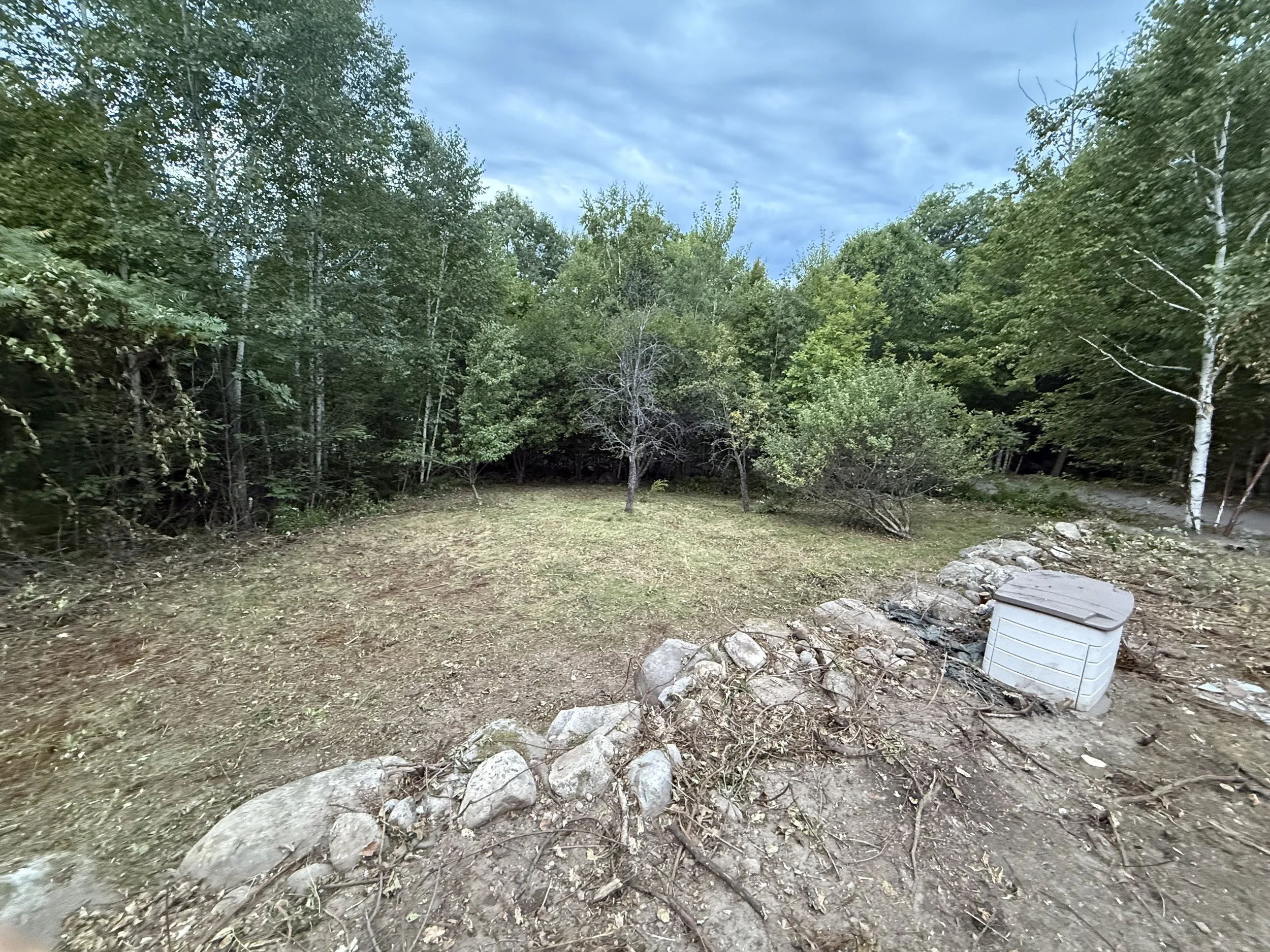 A wooded outdoor area with green trees, some with white bark, a dirt ground, and a gray overcast sky overhead. There is a white storage shed at the right edge of the image surrounded by rocks.