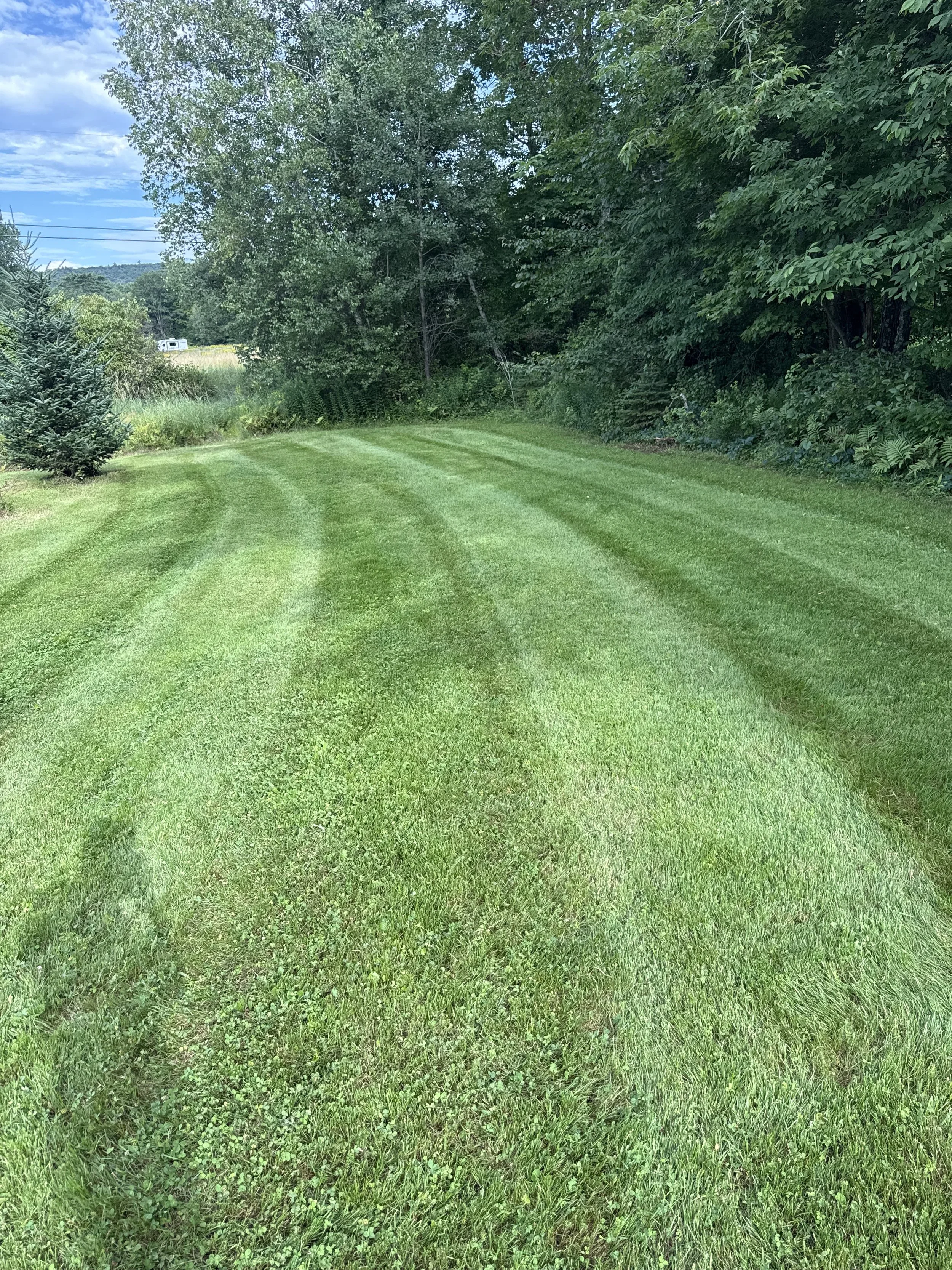A well-maintained grassy lawn with tire marks, bordered by trees and shrubs under a partly cloudy sky.