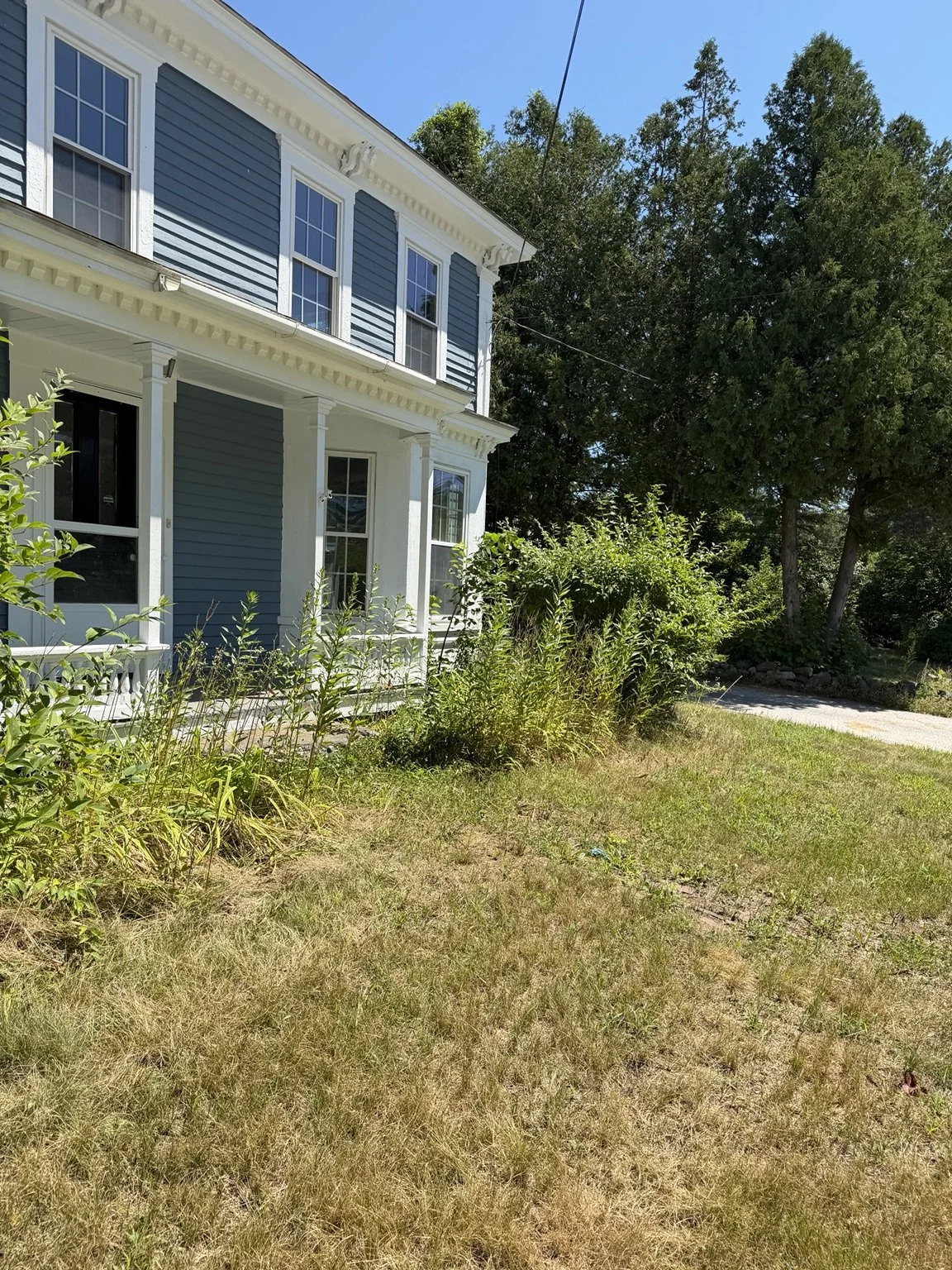 jay front yard before.jpeg