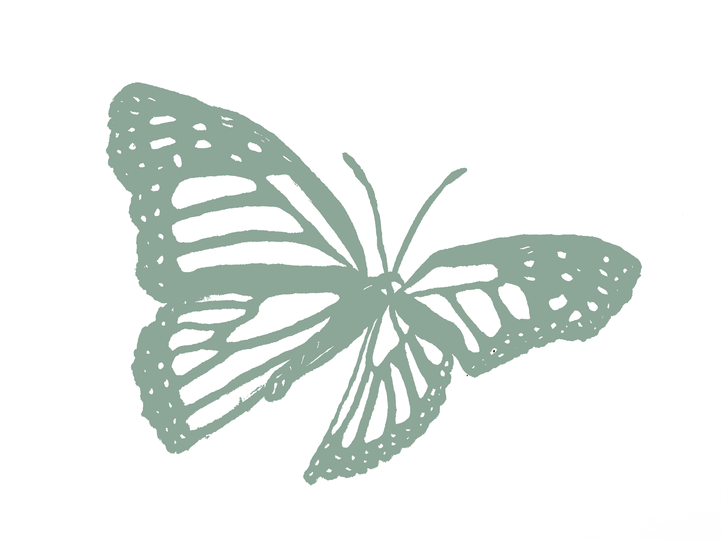 Hand-drawn butterfly illustration