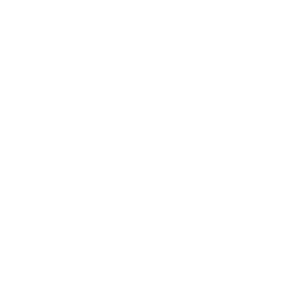 A document with a medical cross and a shield with a checkmark, indicating health or medical security.