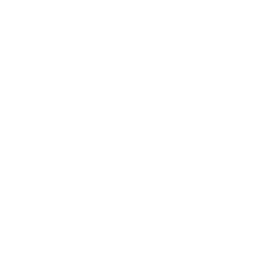 A digital document with a profile icon, a shield with a plus sign, and a dollar sign, indicating health insurance or financial protection.